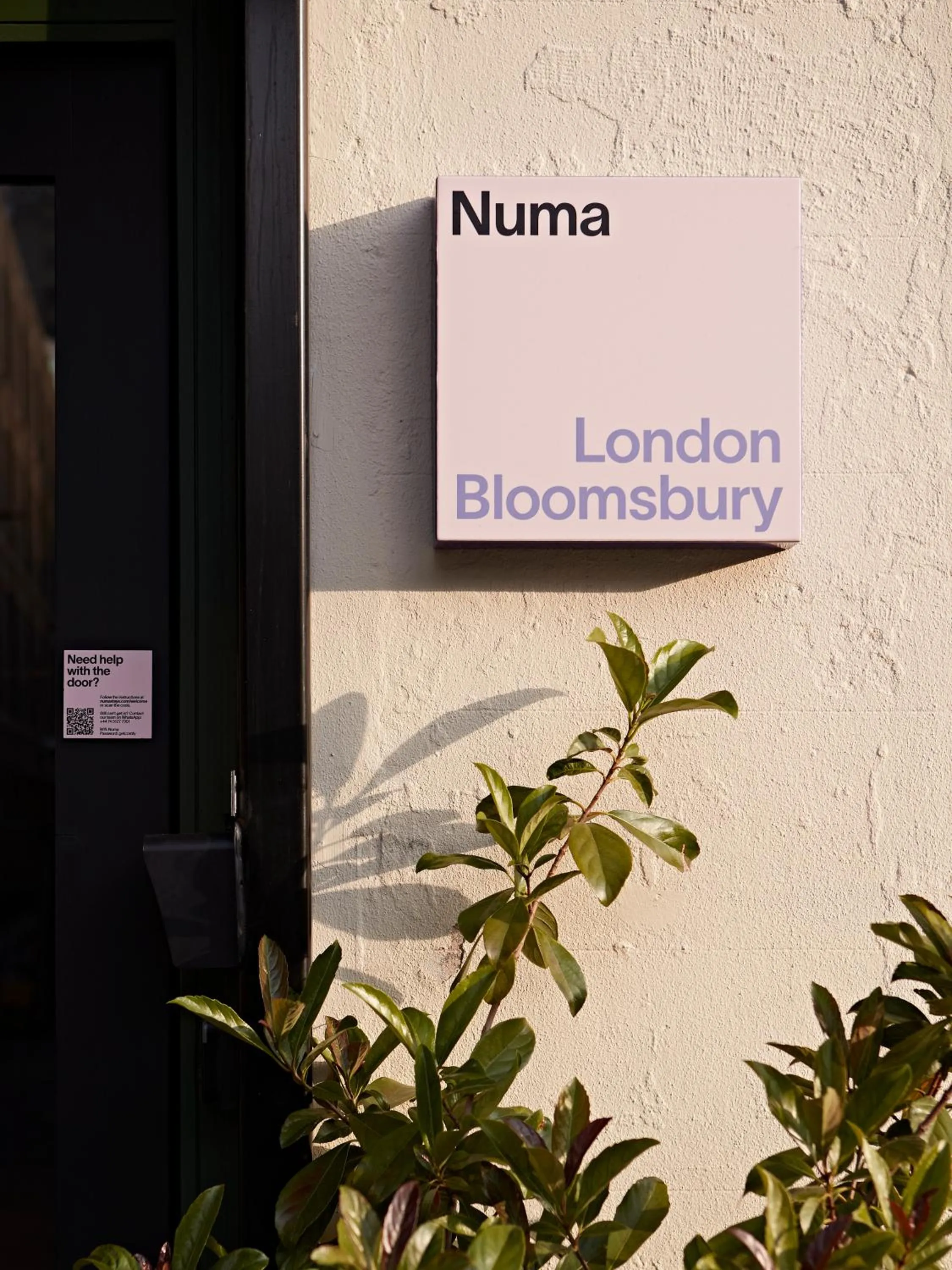 Logo/Certificate/Sign in Numa London Bloomsbury