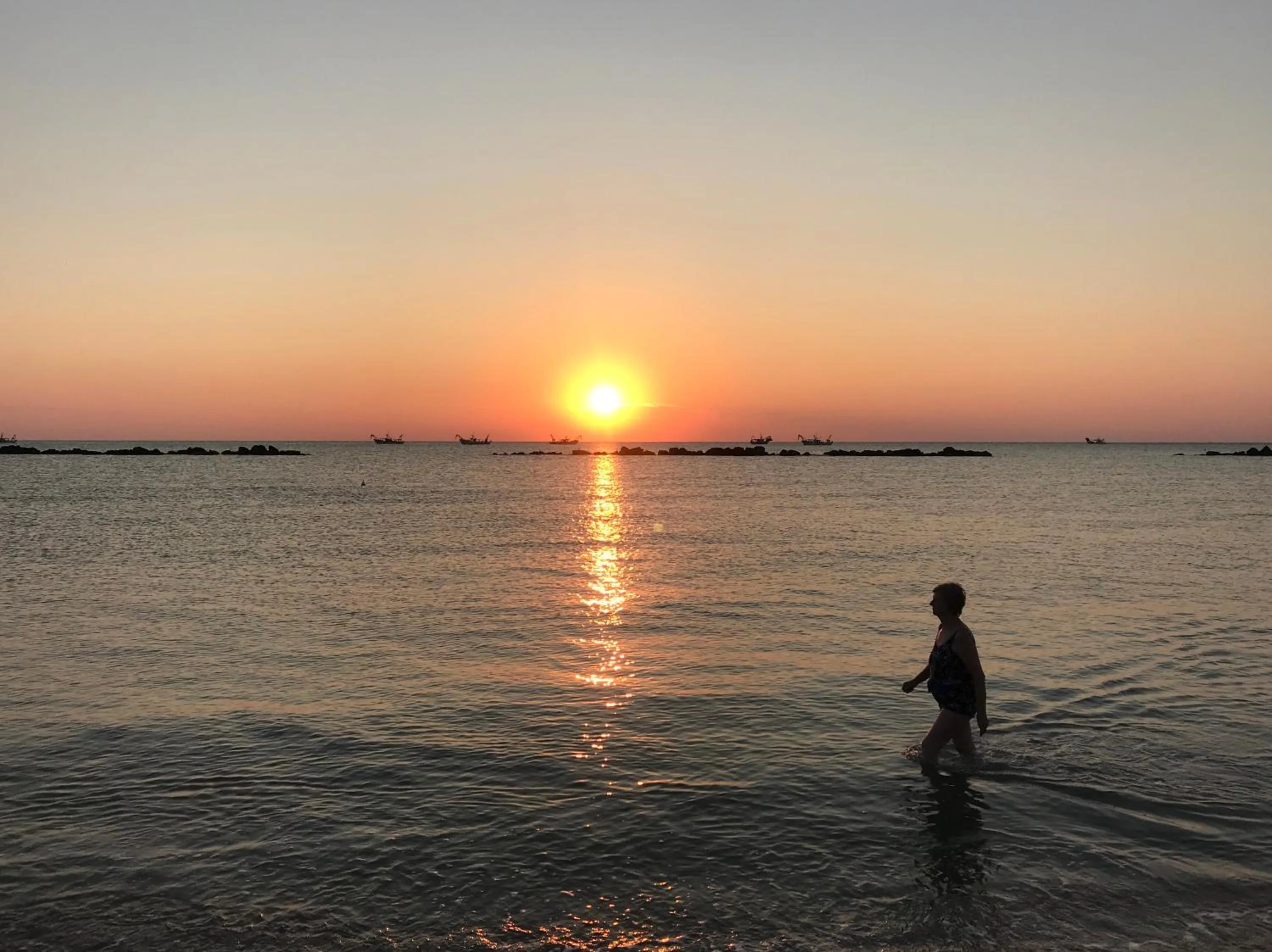 Natural landscape in Hotel Sayonara