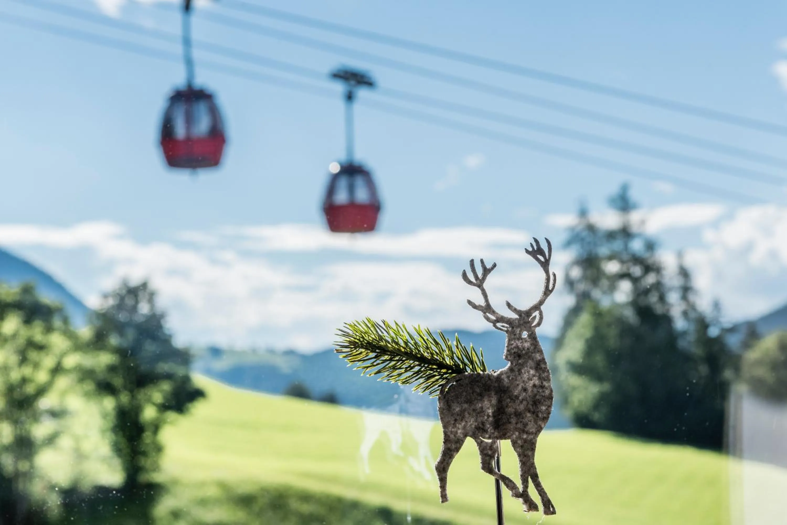 View (from property/room) in Rainell Dolomites Retreat