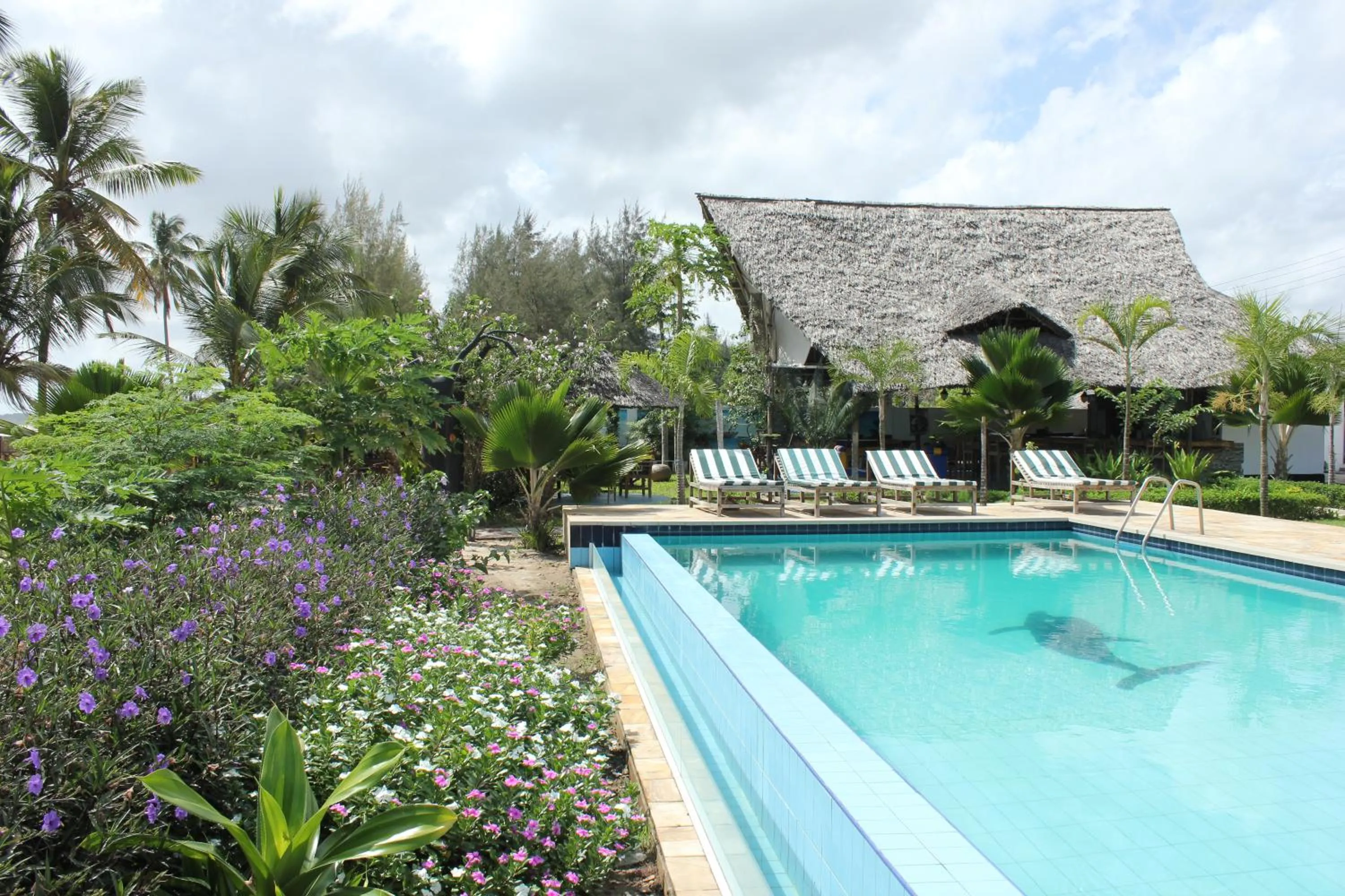Pool view in Villa Dahl Beach Resort