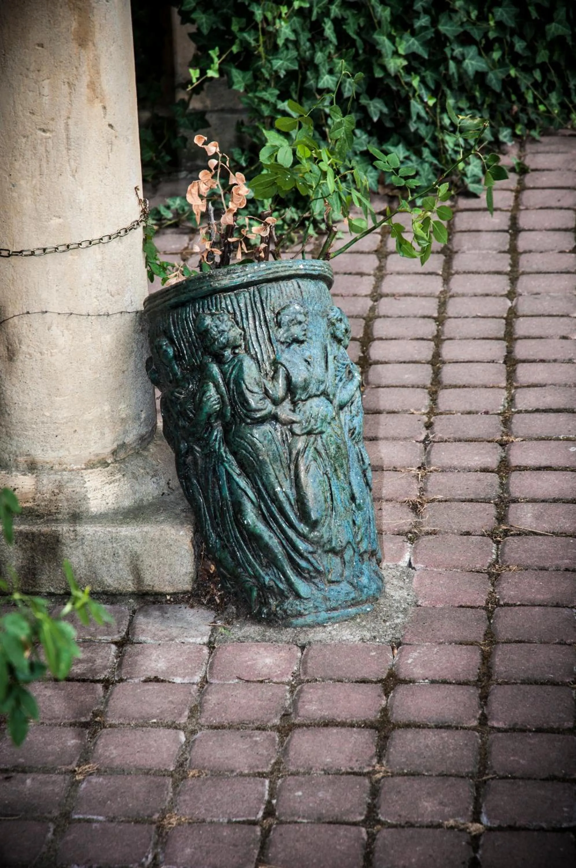 Garden in Hotel Bow Garden