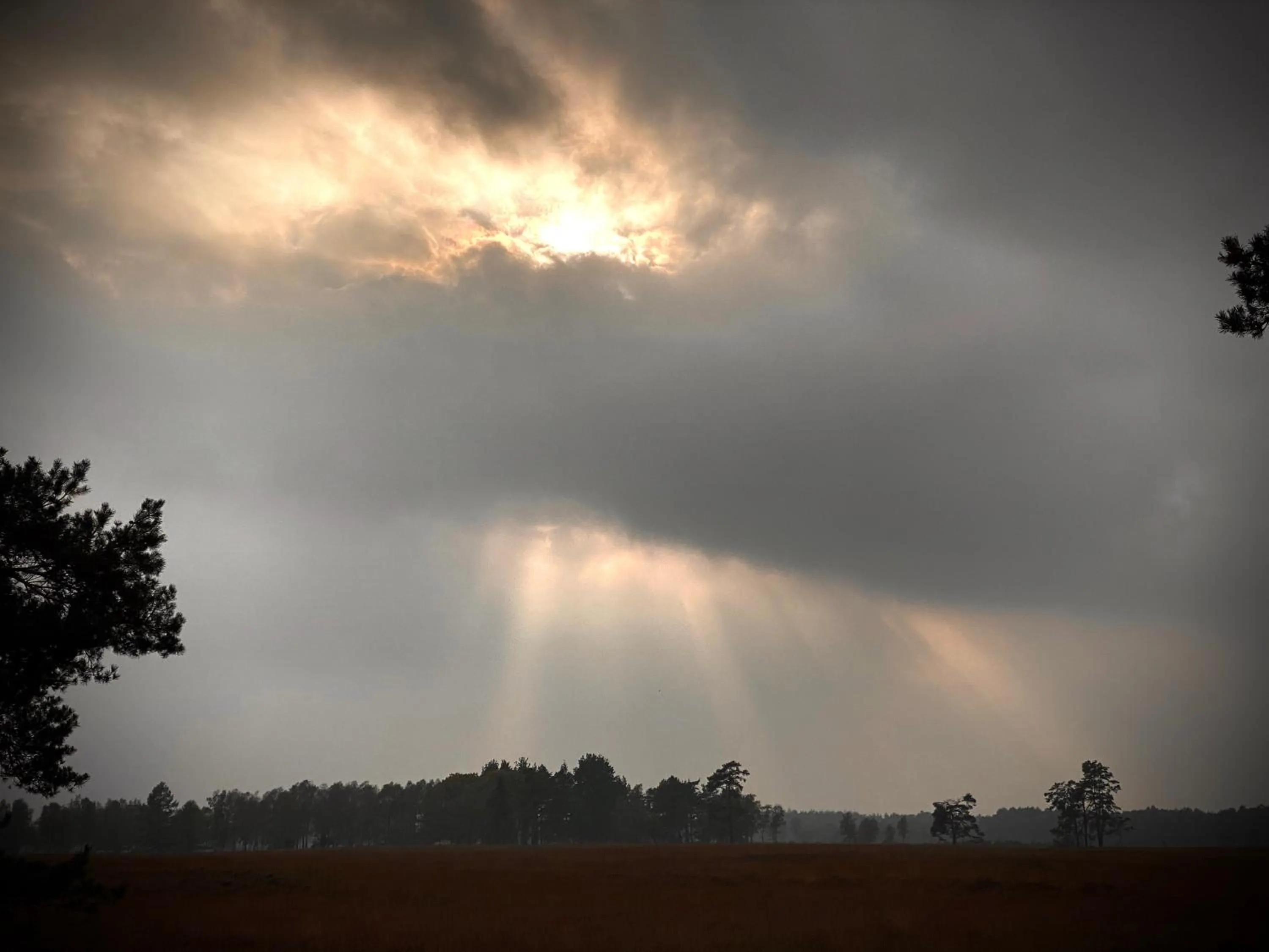 Sunrise in Wilsmann Apartmentvermietung