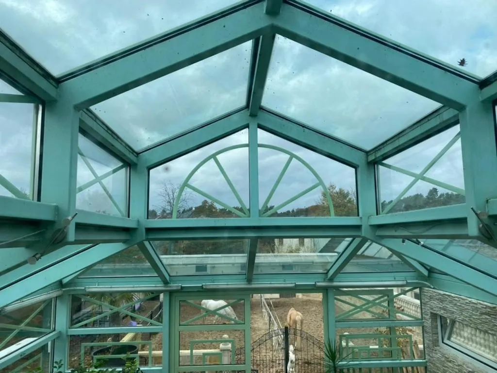 Animals in Wilsmann Apartmentvermietung