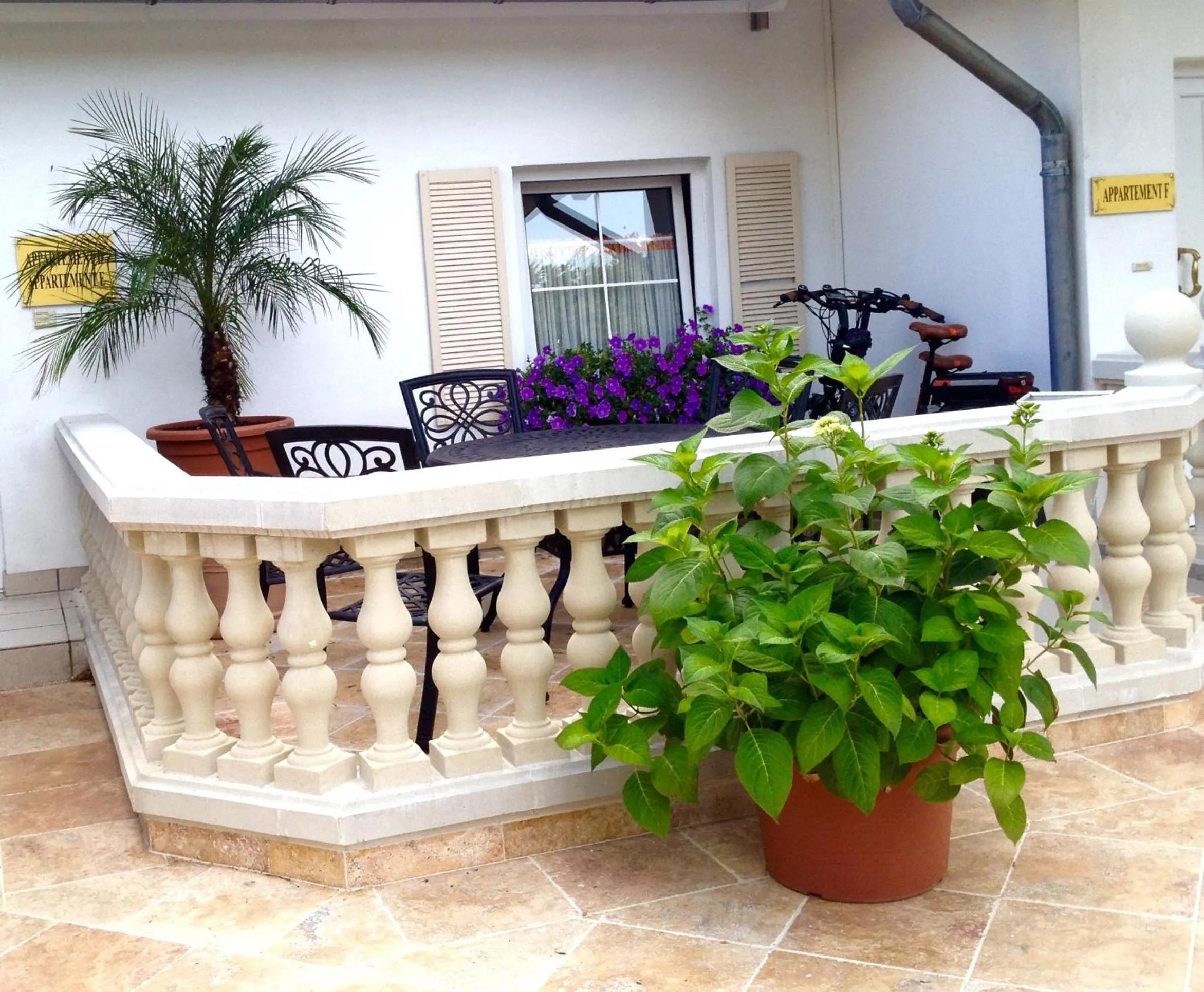 Garden in Wilsmann Apartmentvermietung