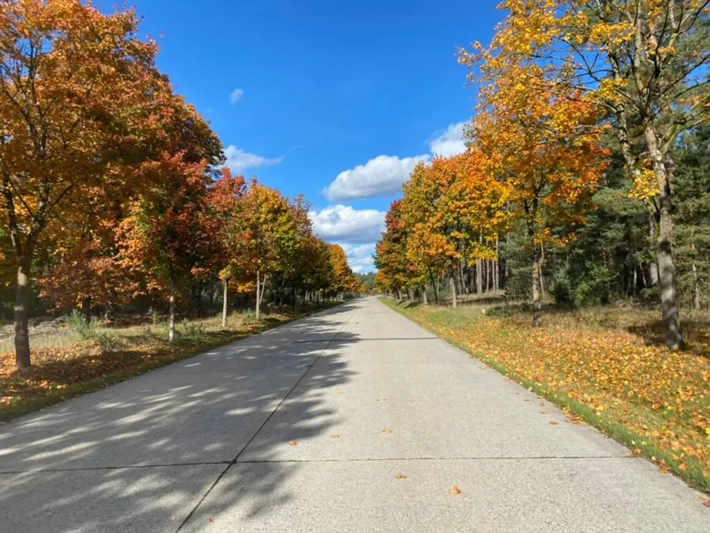 Neighbourhood in Wilsmann Apartmentvermietung