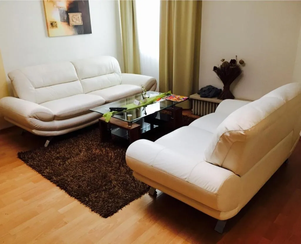 Living room in Wilsmann Apartmentvermietung