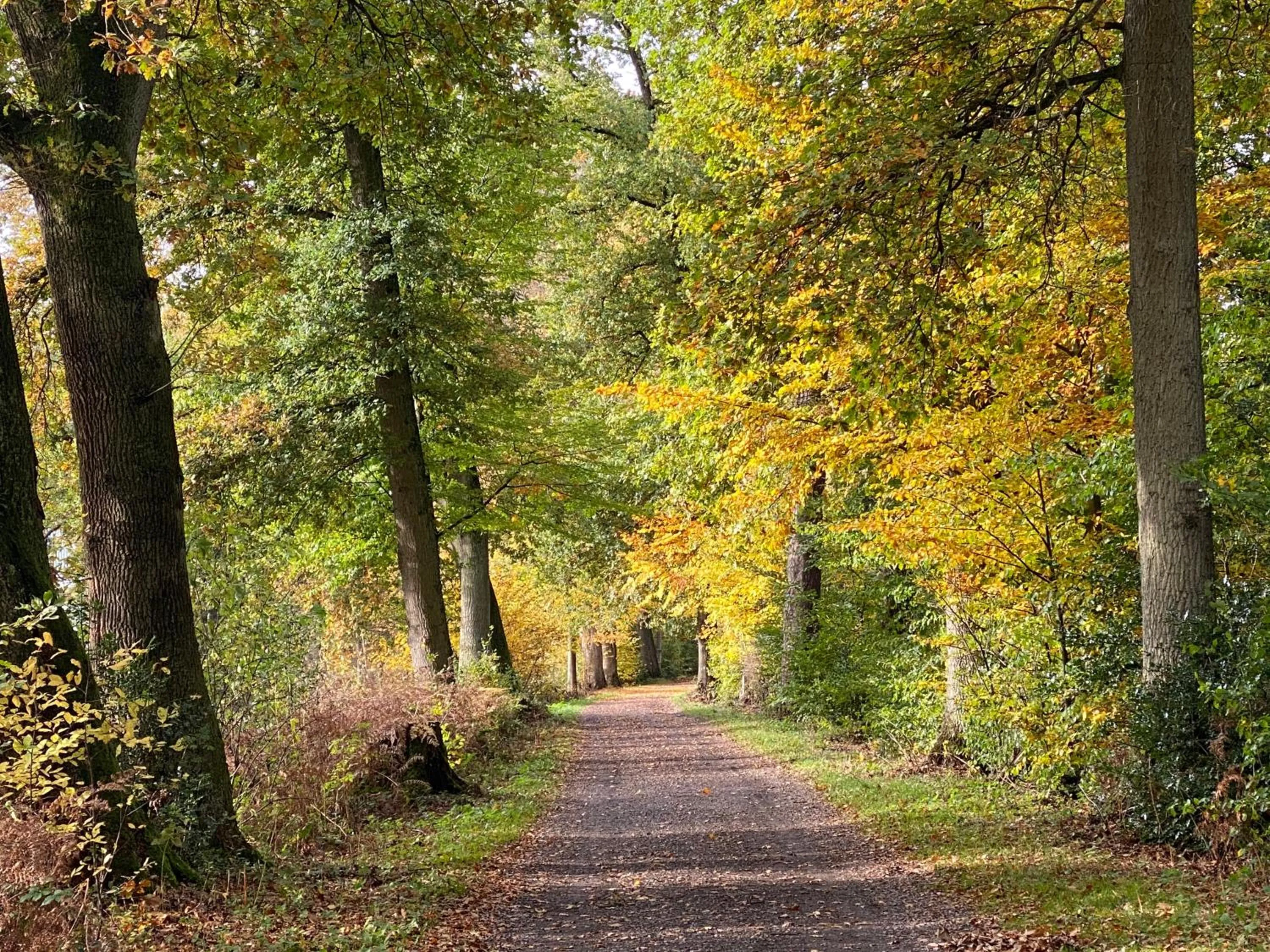 Natural landscape in Wilsmann Apartmentvermietung