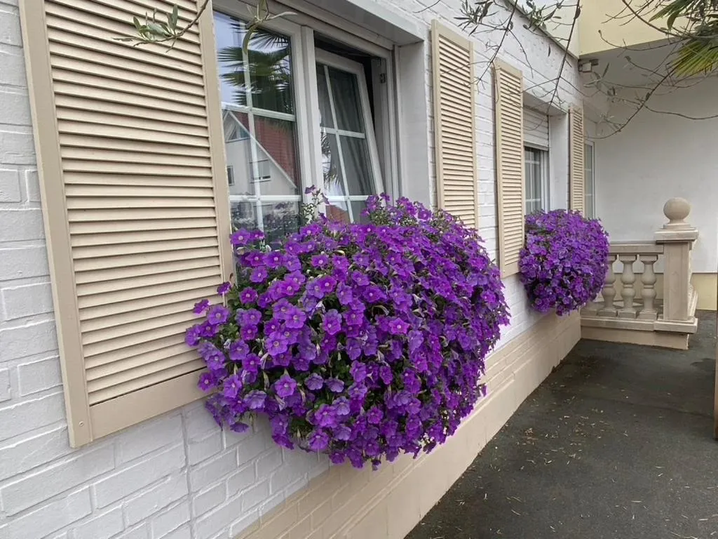 Property building in Wilsmann Apartmentvermietung