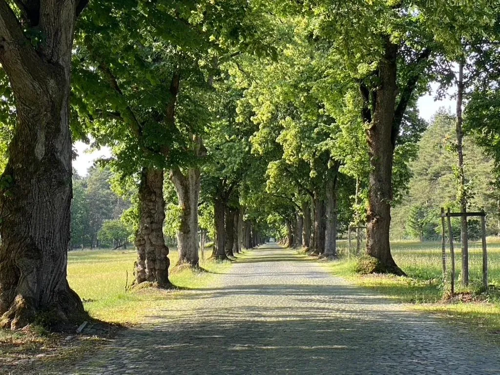 Day in Wilsmann Apartmentvermietung