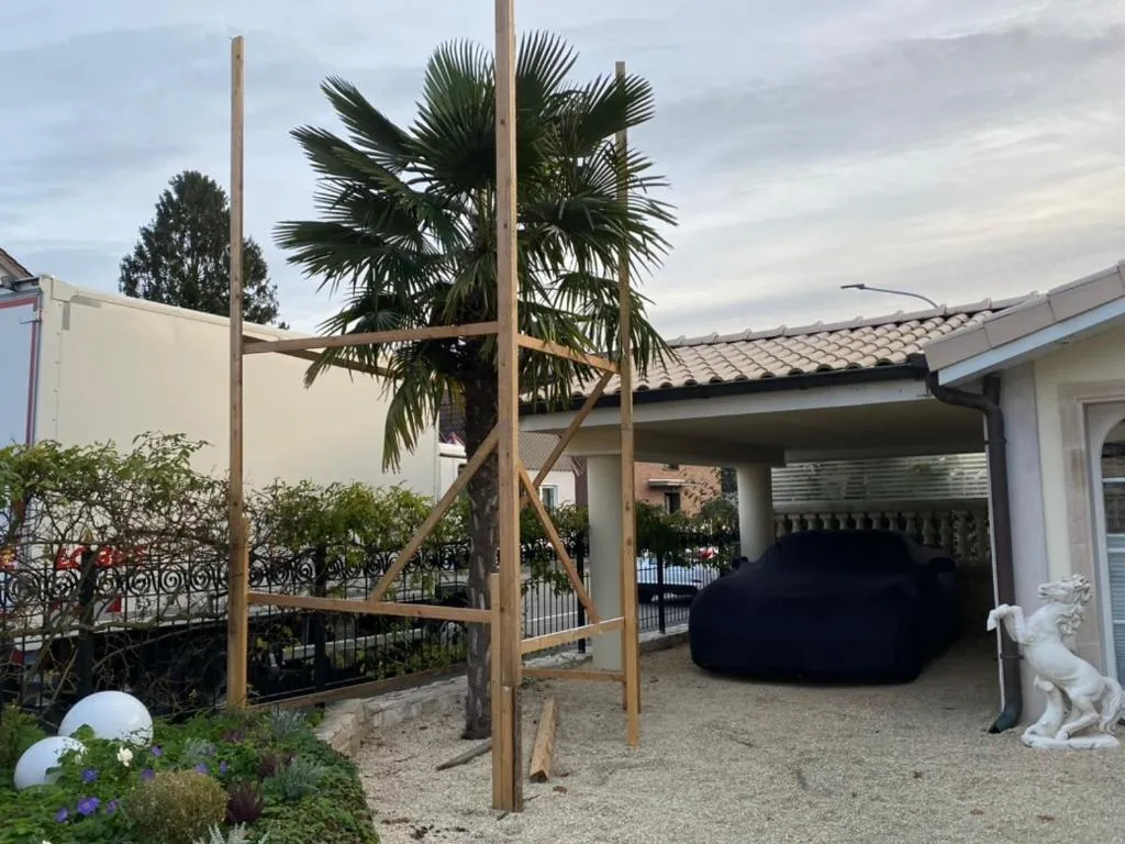 Wilsmann Apartmentvermietung