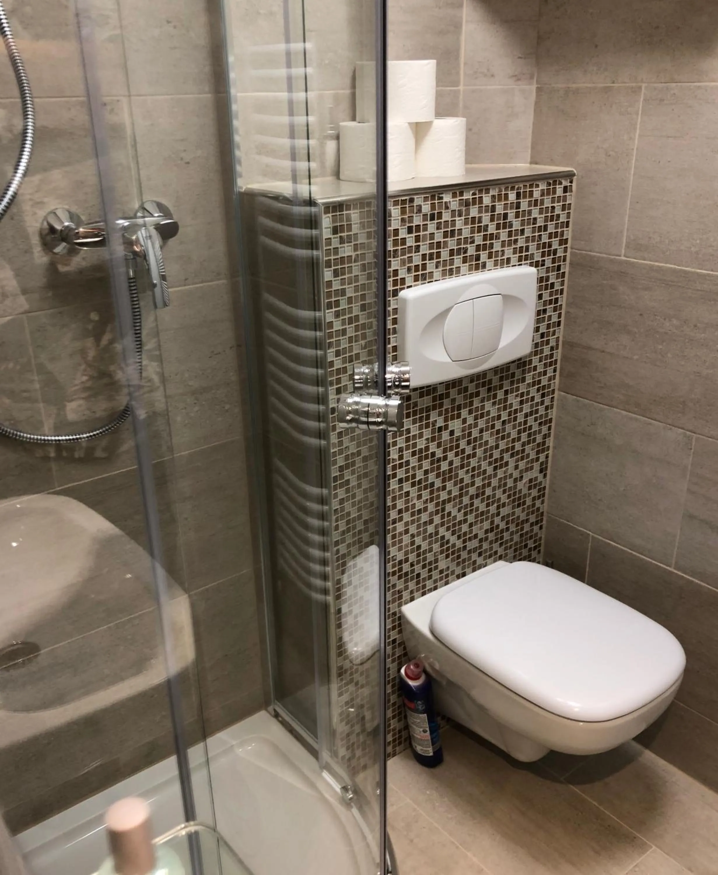 Shower in Wilsmann Apartmentvermietung