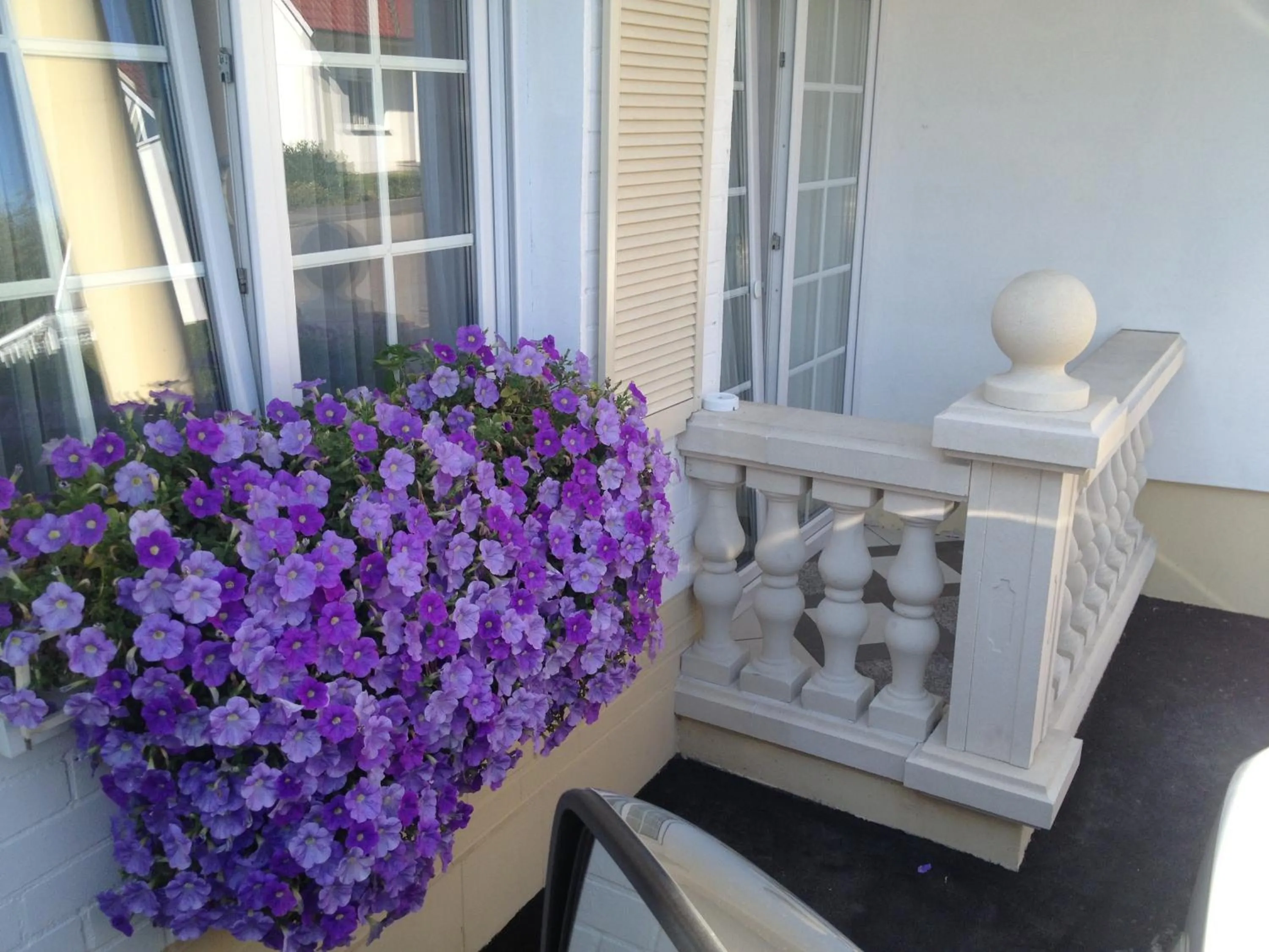 Facade/entrance in Wilsmann Apartmentvermietung