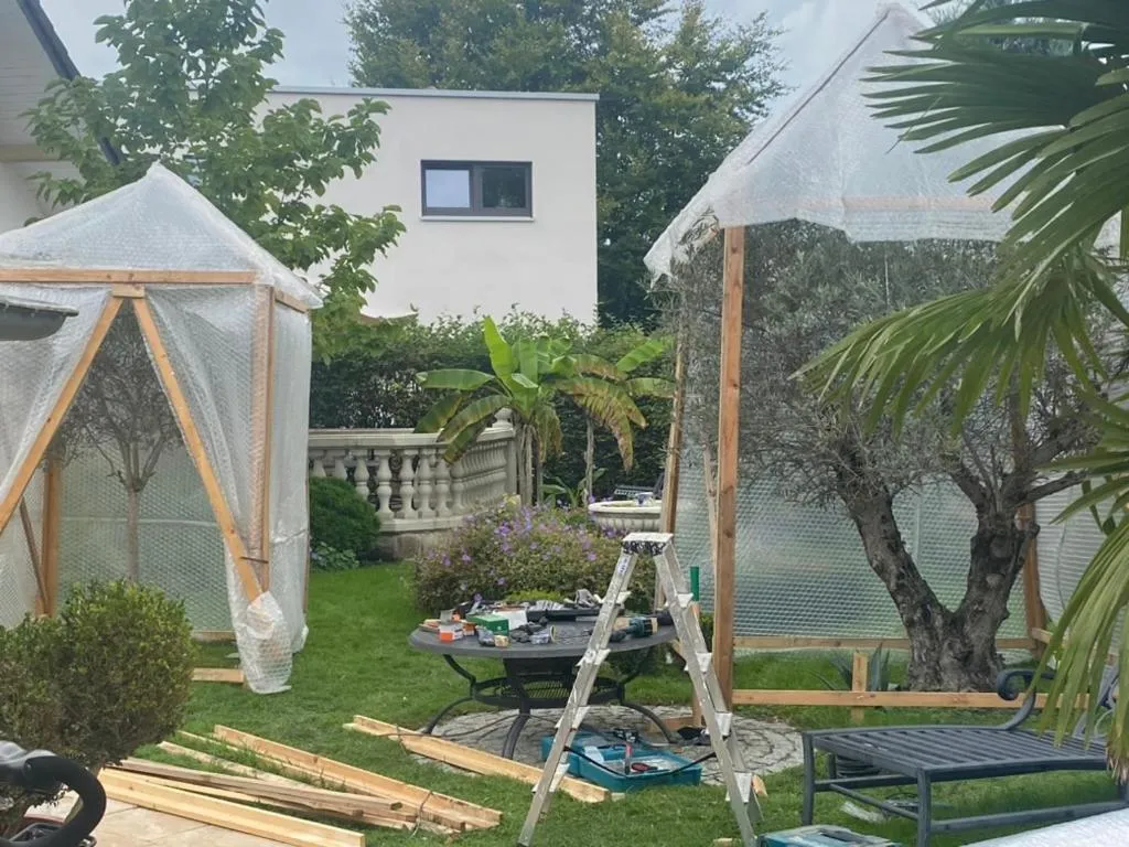 Wilsmann Apartmentvermietung