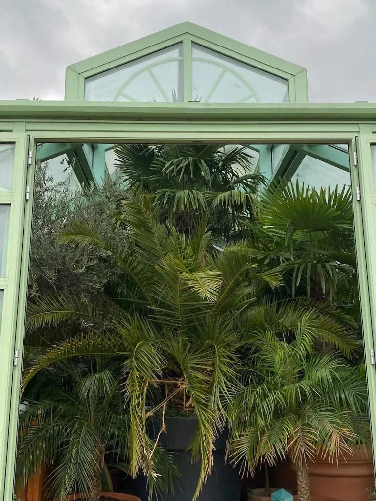 Garden view in Wilsmann Apartmentvermietung