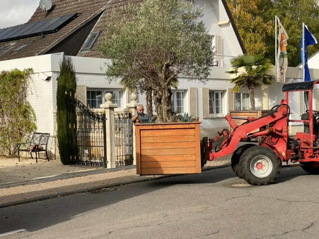 Property building in Wilsmann Apartmentvermietung