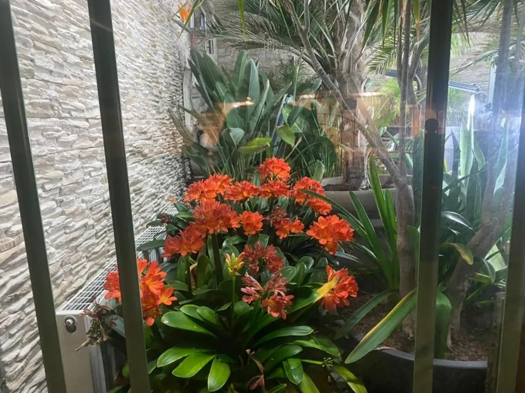 Wilsmann Apartmentvermietung