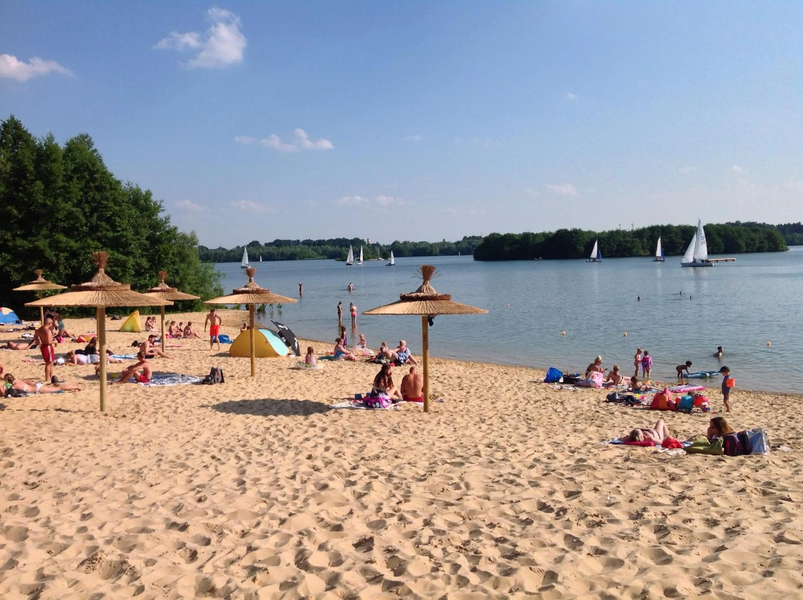 Natural landscape in Wilsmann Apartmentvermietung