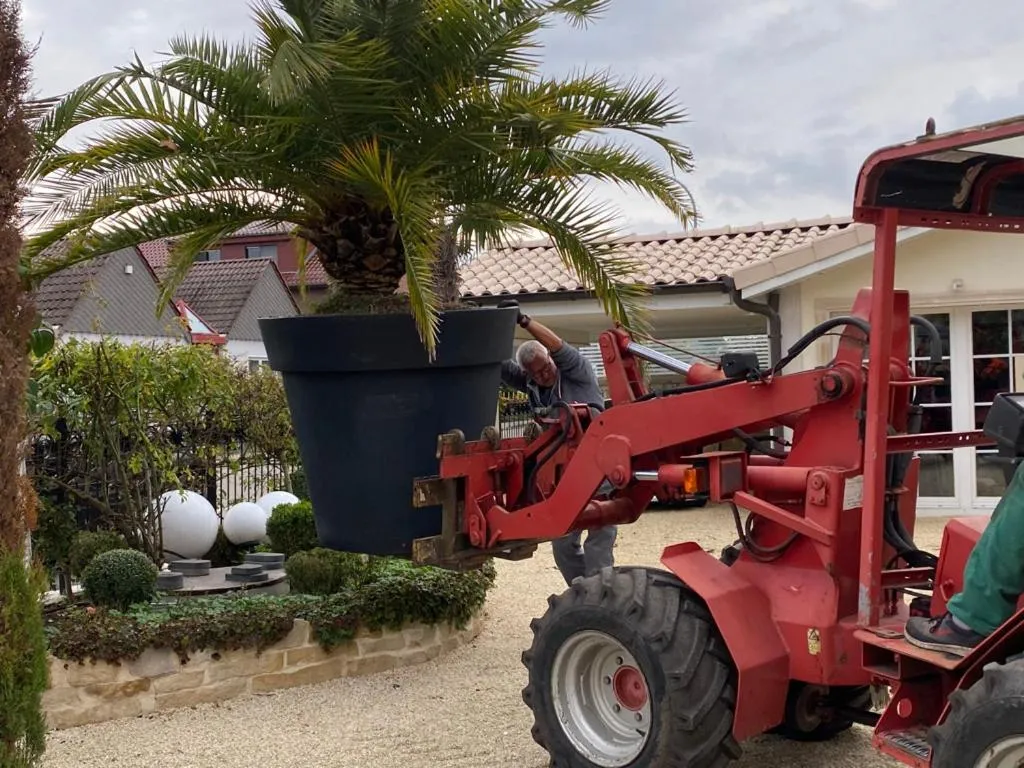 Day in Wilsmann Apartmentvermietung