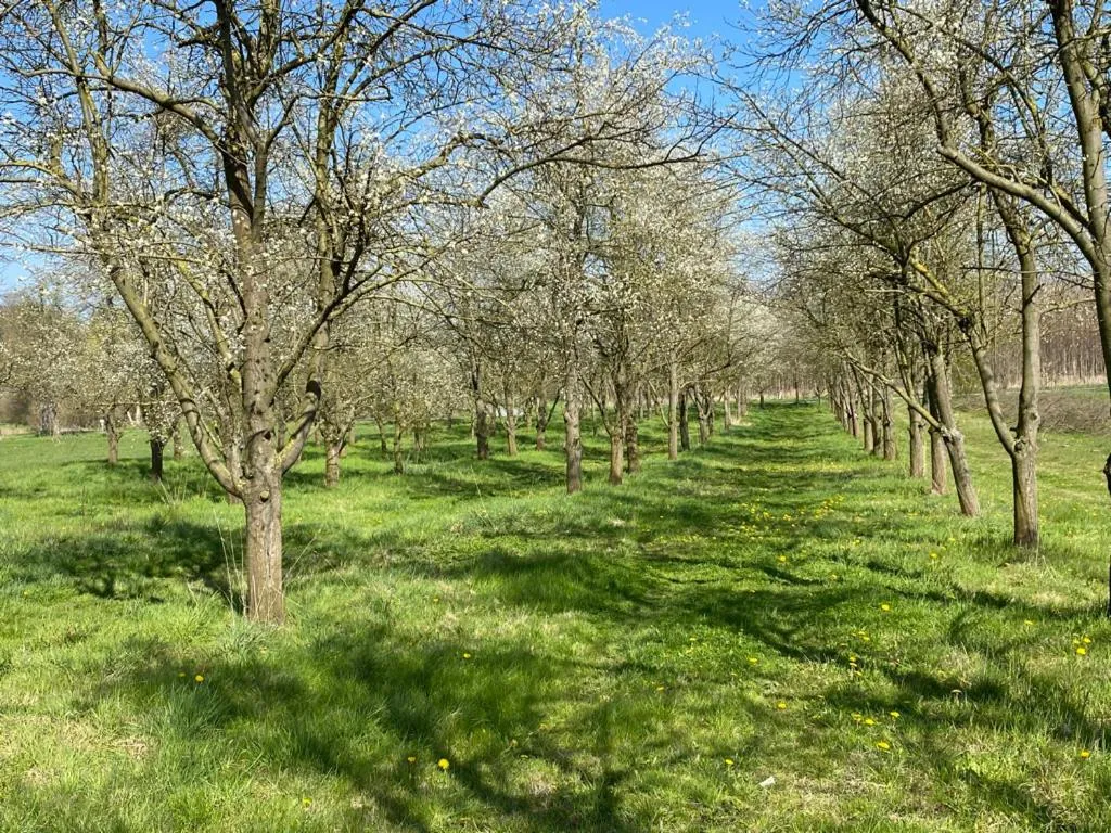 Natural landscape in Wilsmann Apartmentvermietung