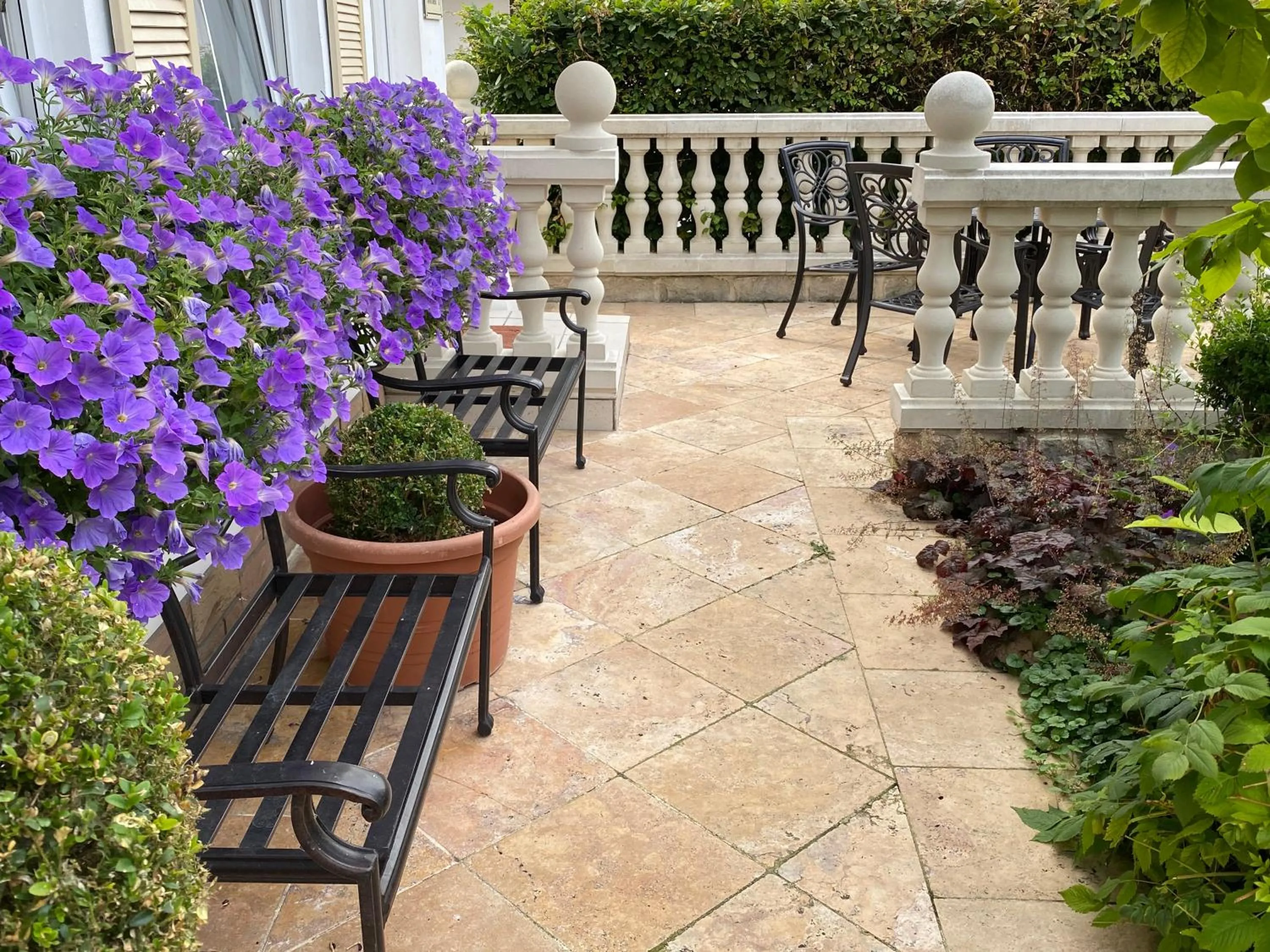 Garden in Wilsmann Apartmentvermietung