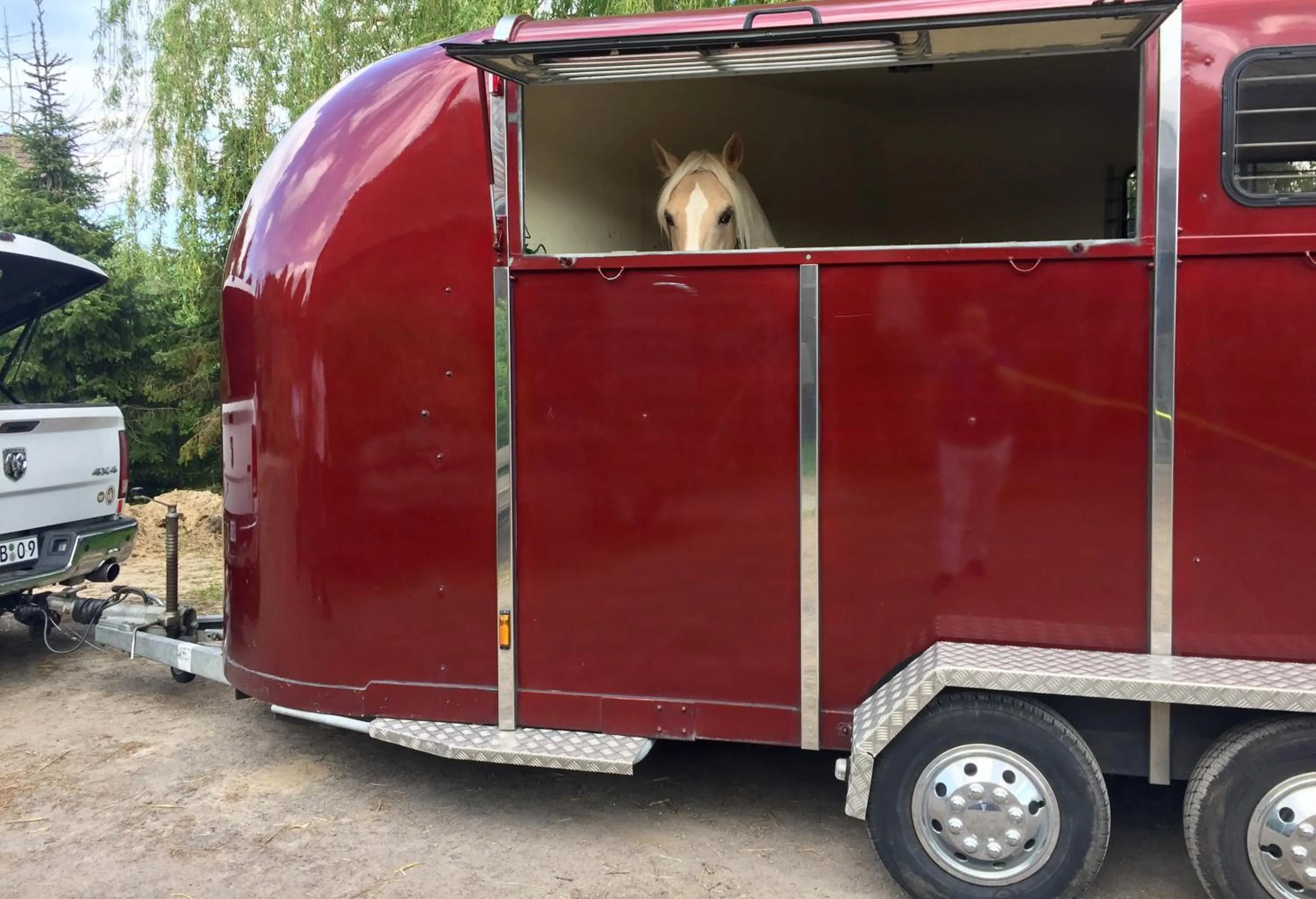 Activities in Wilsmann Apartmentvermietung