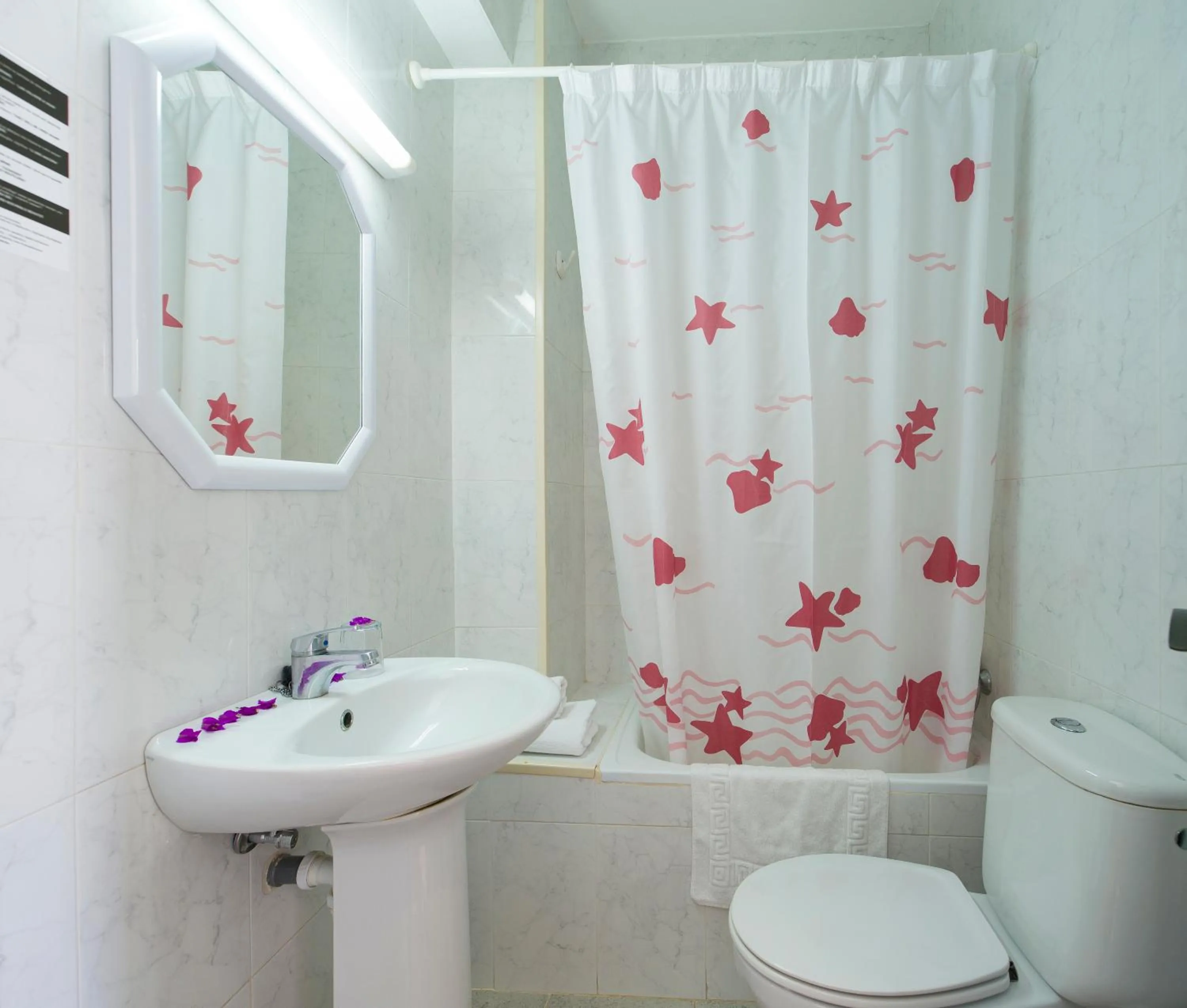 Standard Twin Room in Hotel Anibal - AB Group