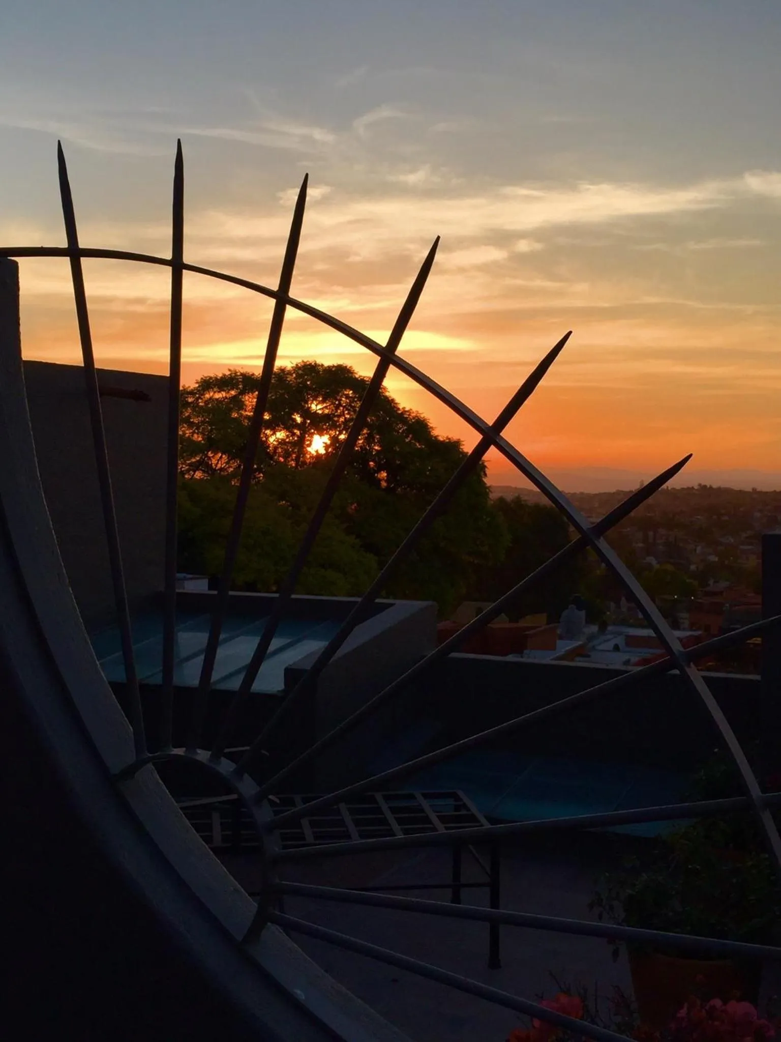 Canela Fina - Adults Only