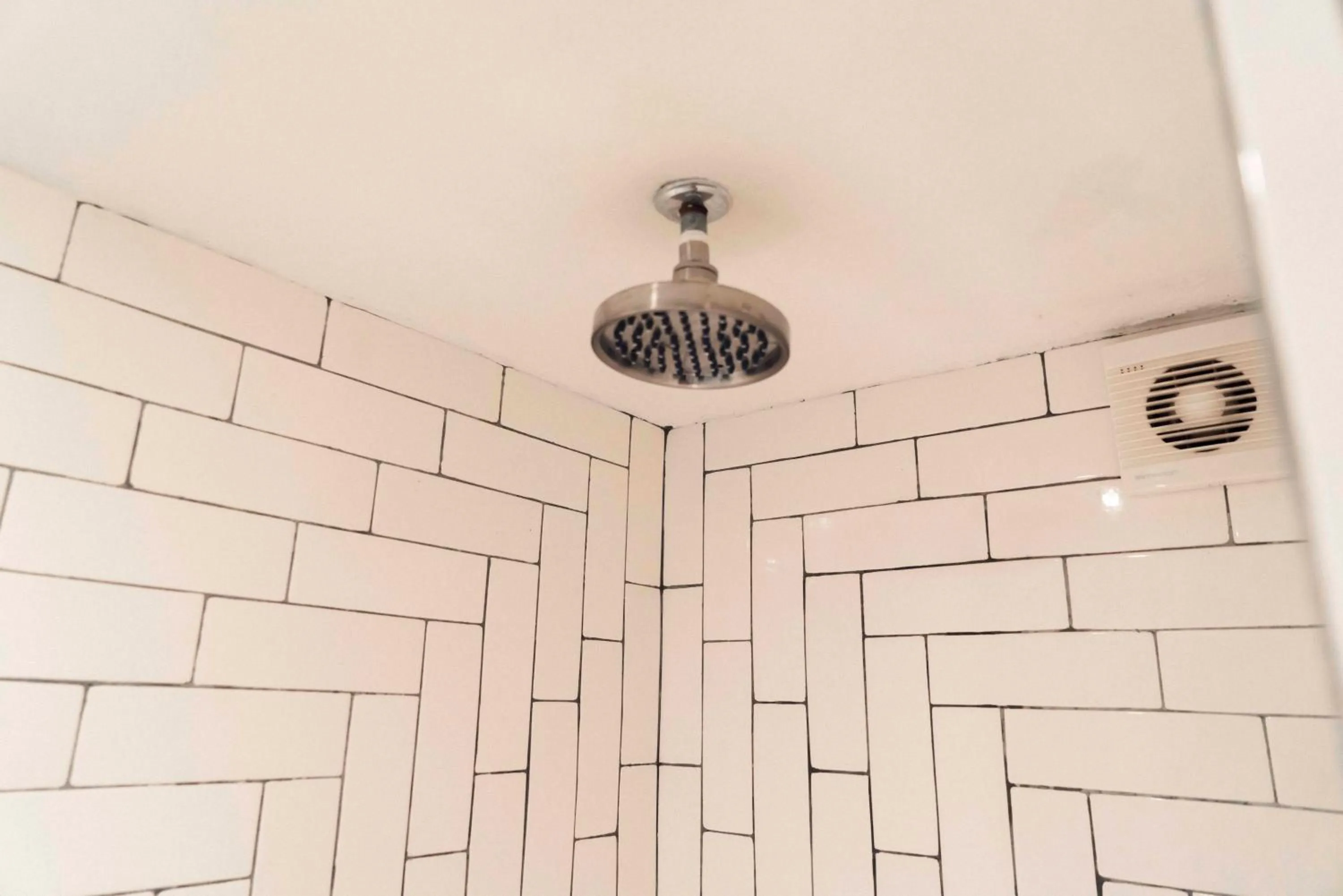 Canela Fina - Adults Only