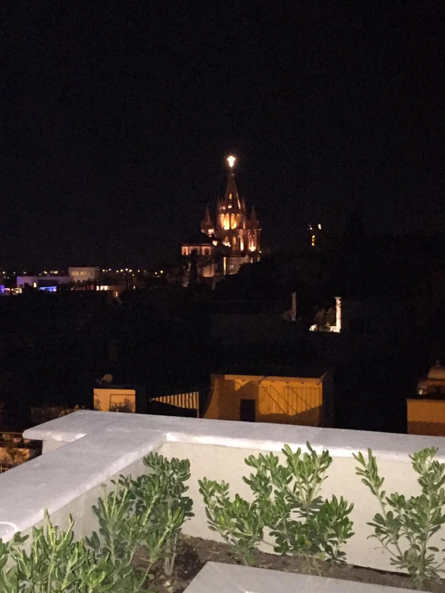 Canela Fina - Adults Only