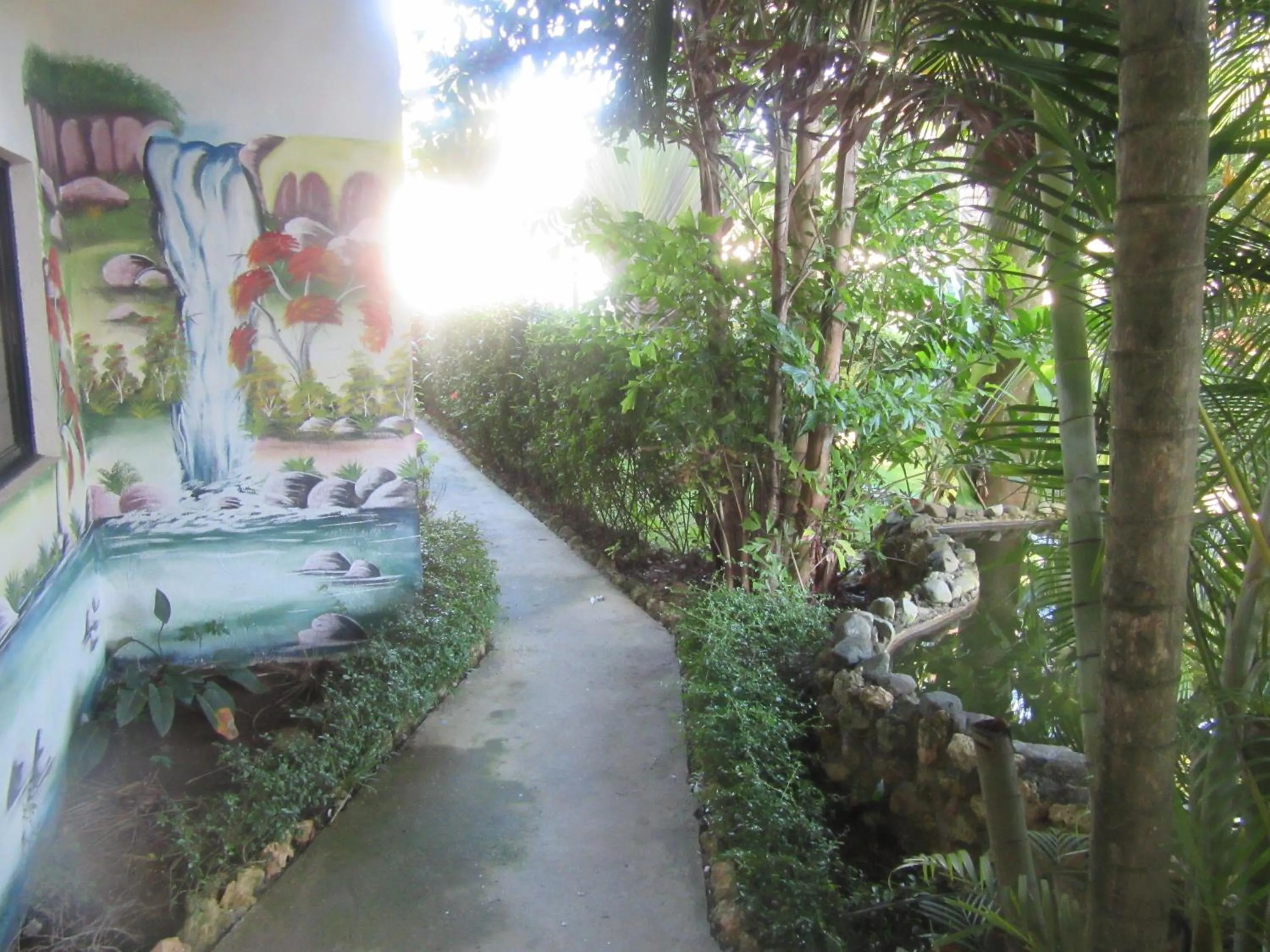 Garden in Hotel Cambri