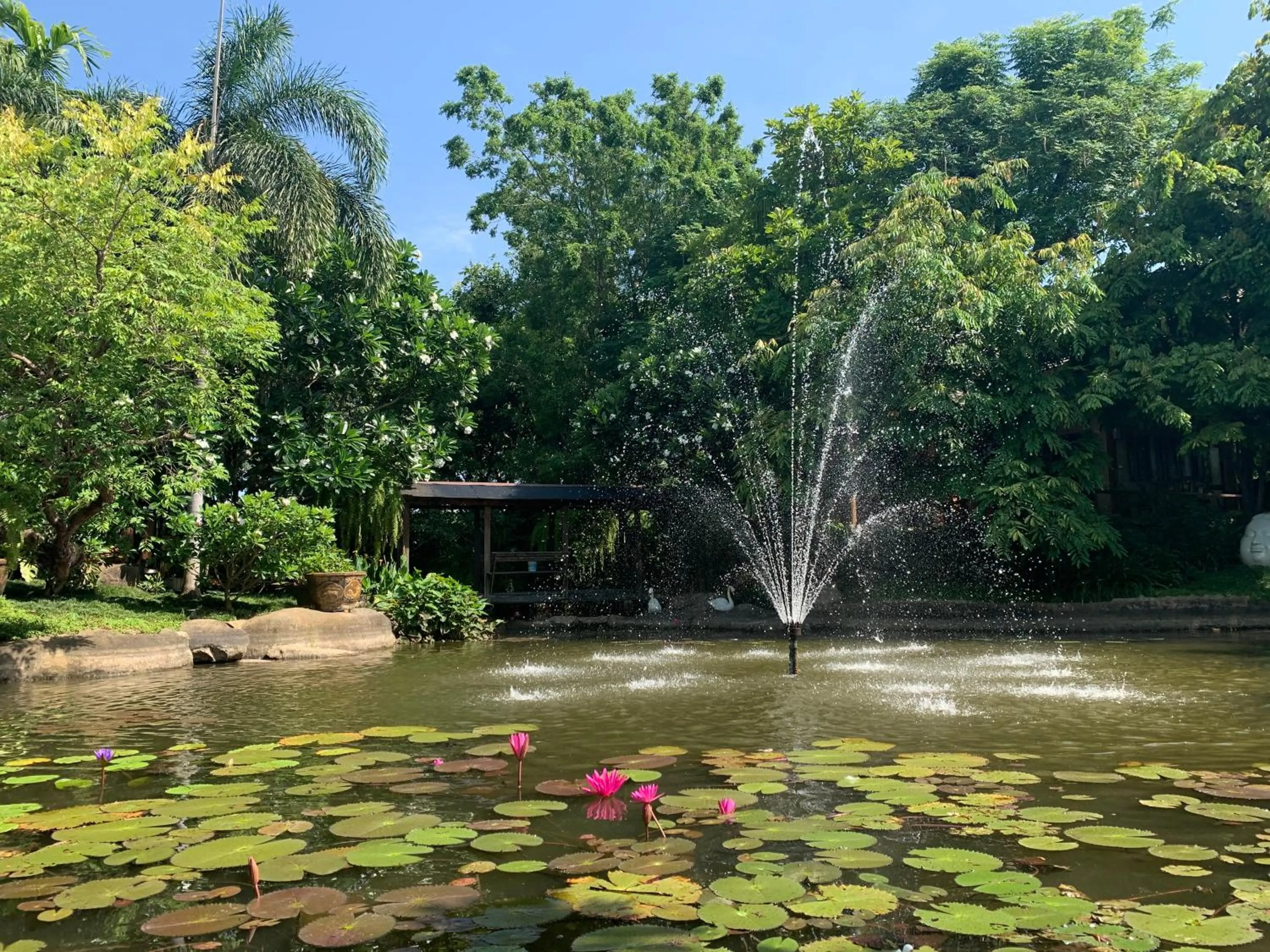 Day in Baansuwanburi - บ้านสุวรรณบุรี