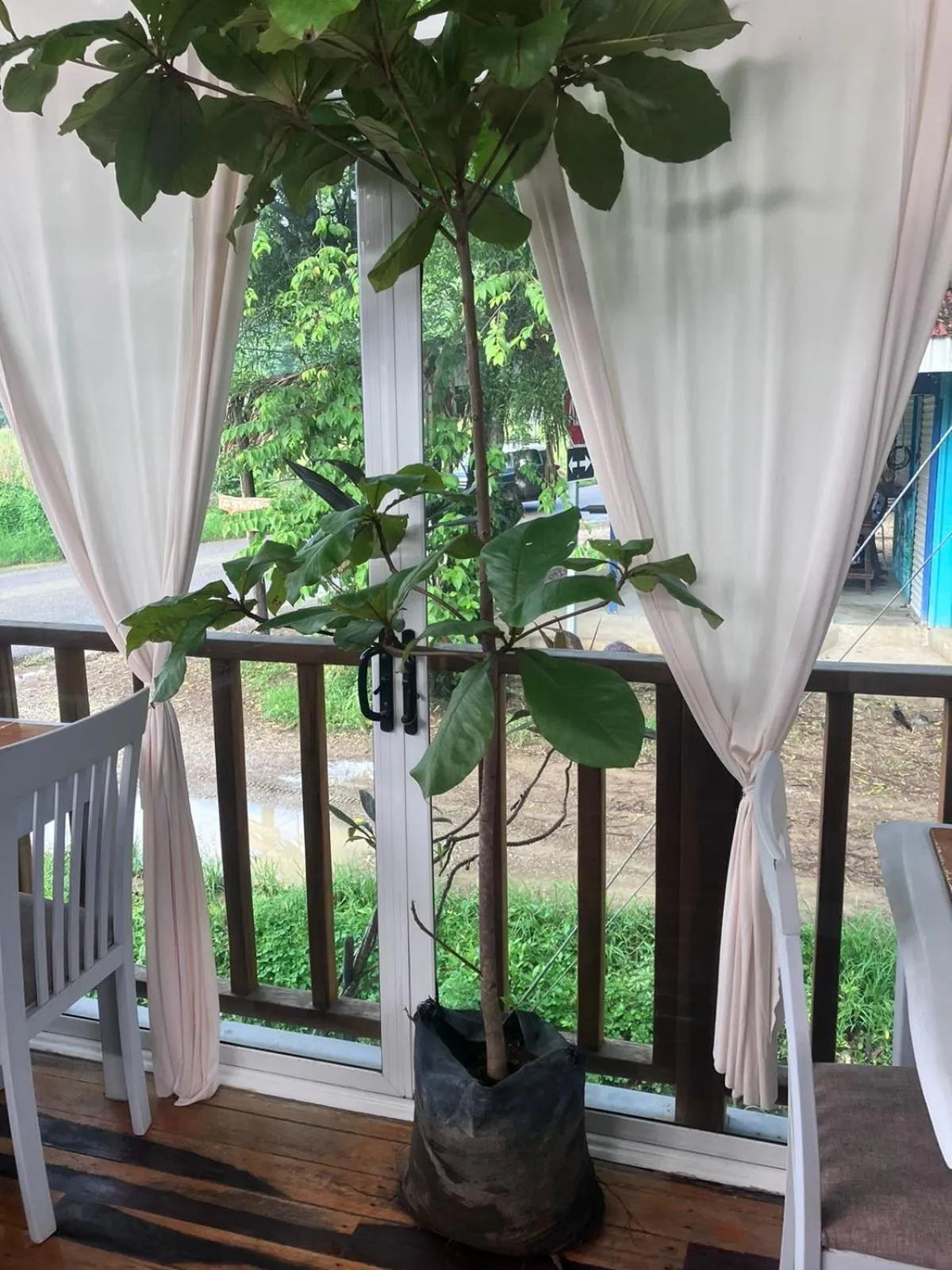 Restaurant/places to eat in BellaVista Suites By Villas Verdes - Samara Beach