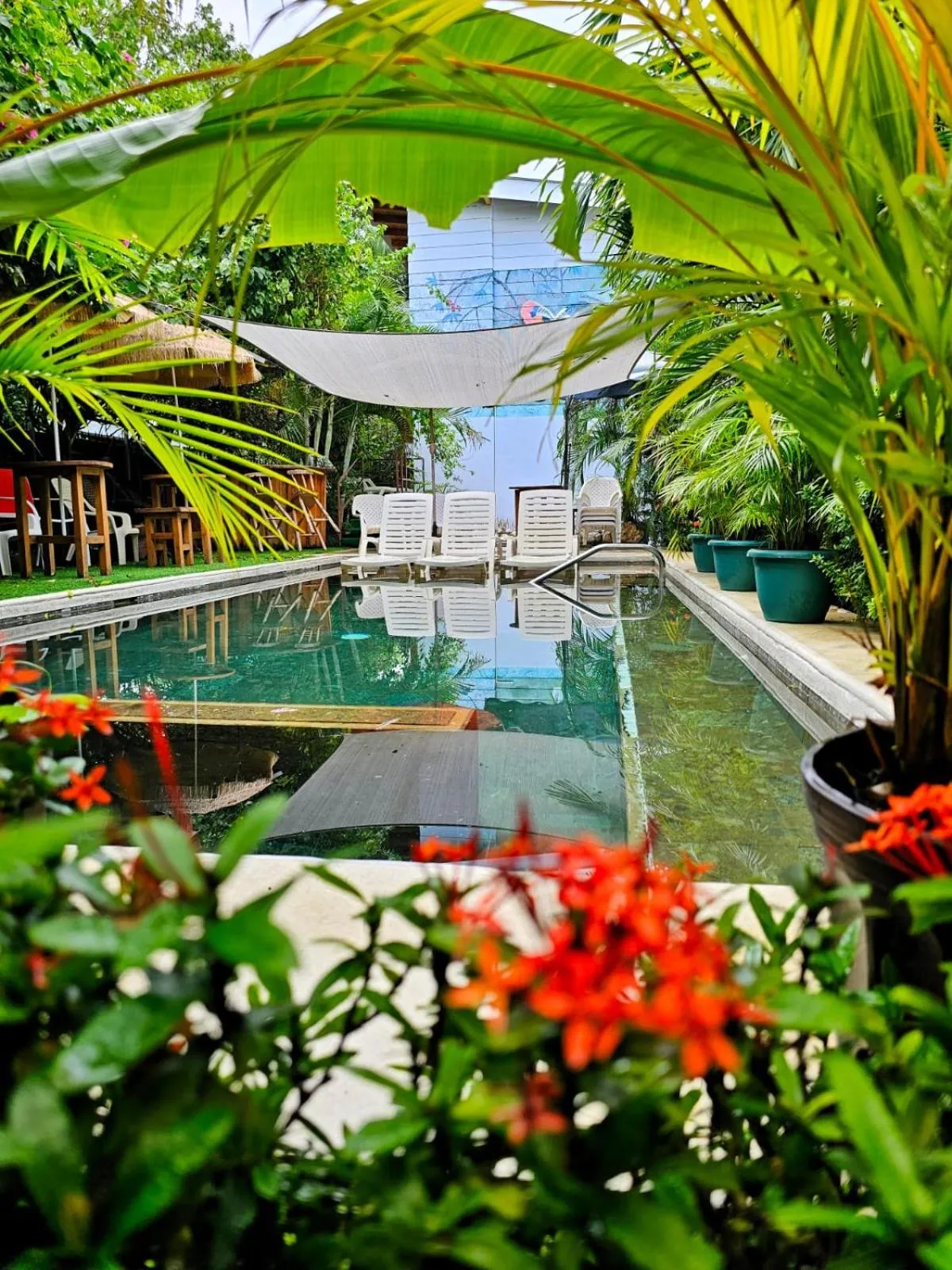 Garden in BellaVista Suites By Villas Verdes - Samara Beach