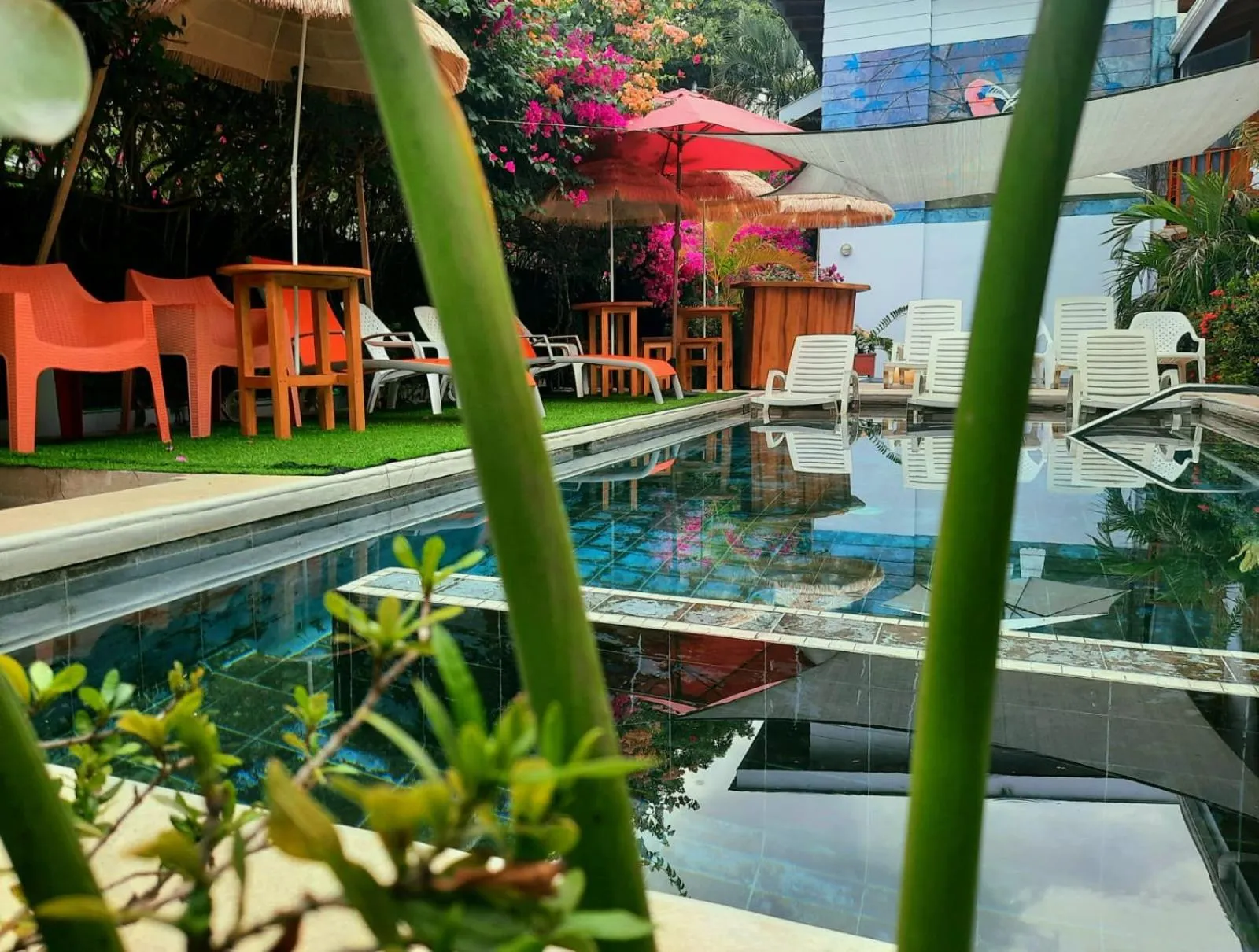 Garden in BellaVista Suites By Villas Verdes - Samara Beach