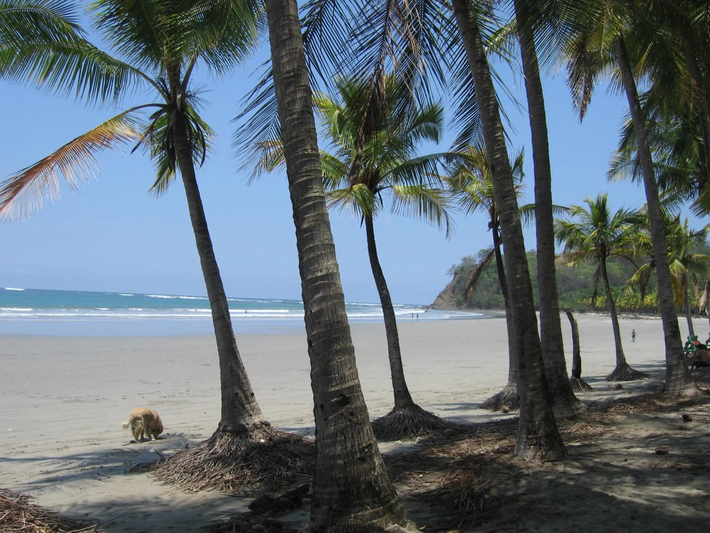 Beach in BellaVista Suites By Villas Verdes - Samara Beach