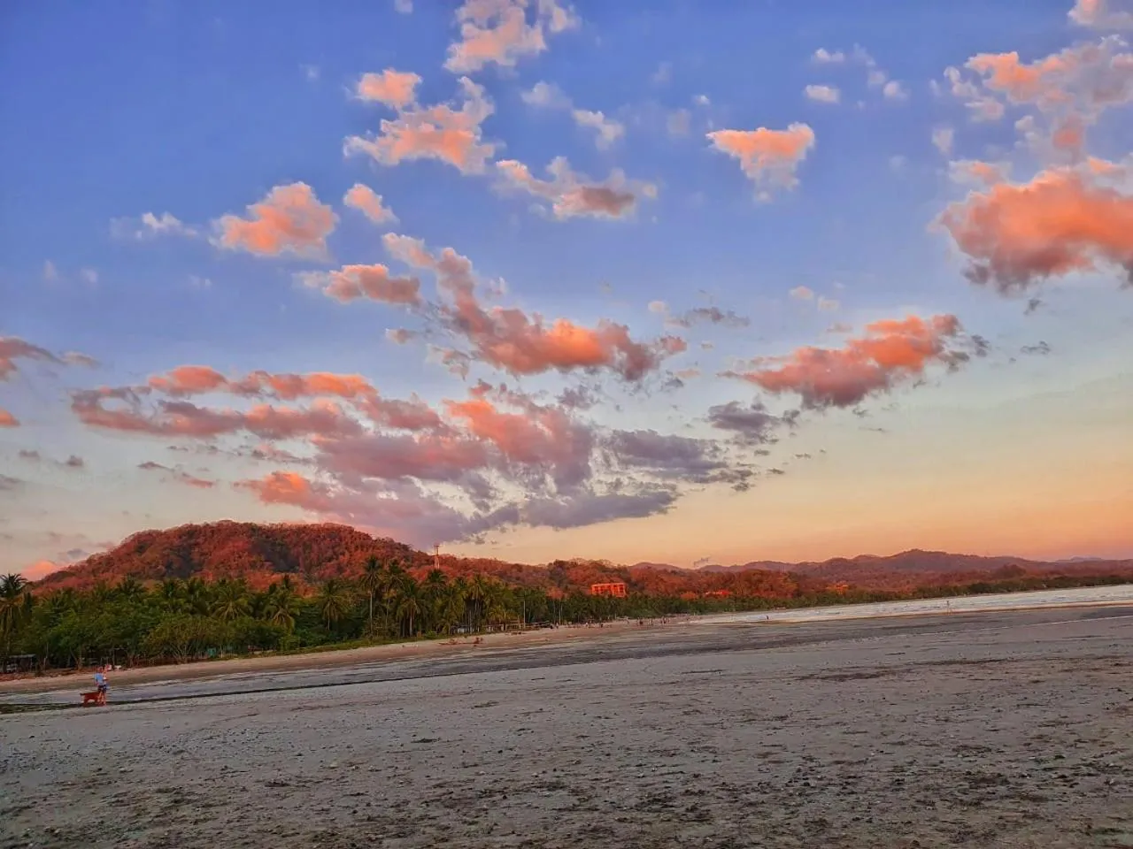 Beach in BellaVista Suites By Villas Verdes - Samara Beach