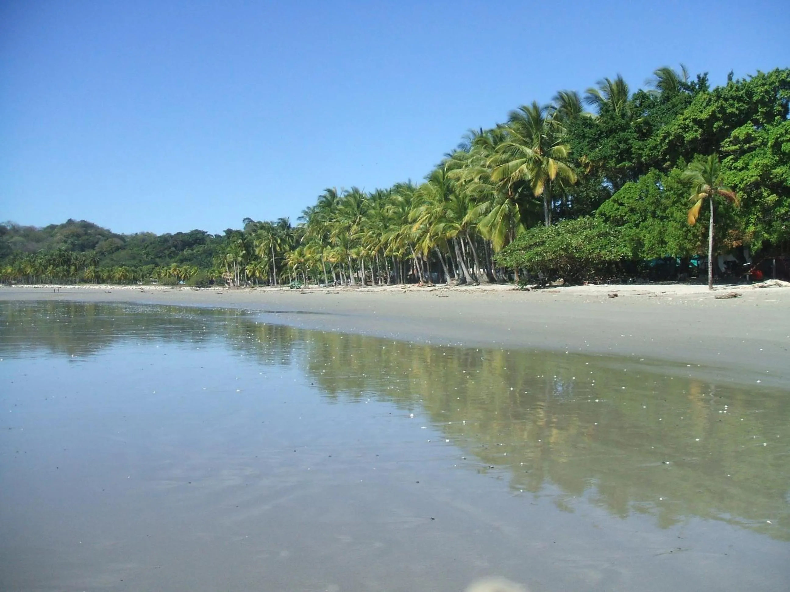 Beach in BellaVista Suites By Villas Verdes - Samara Beach