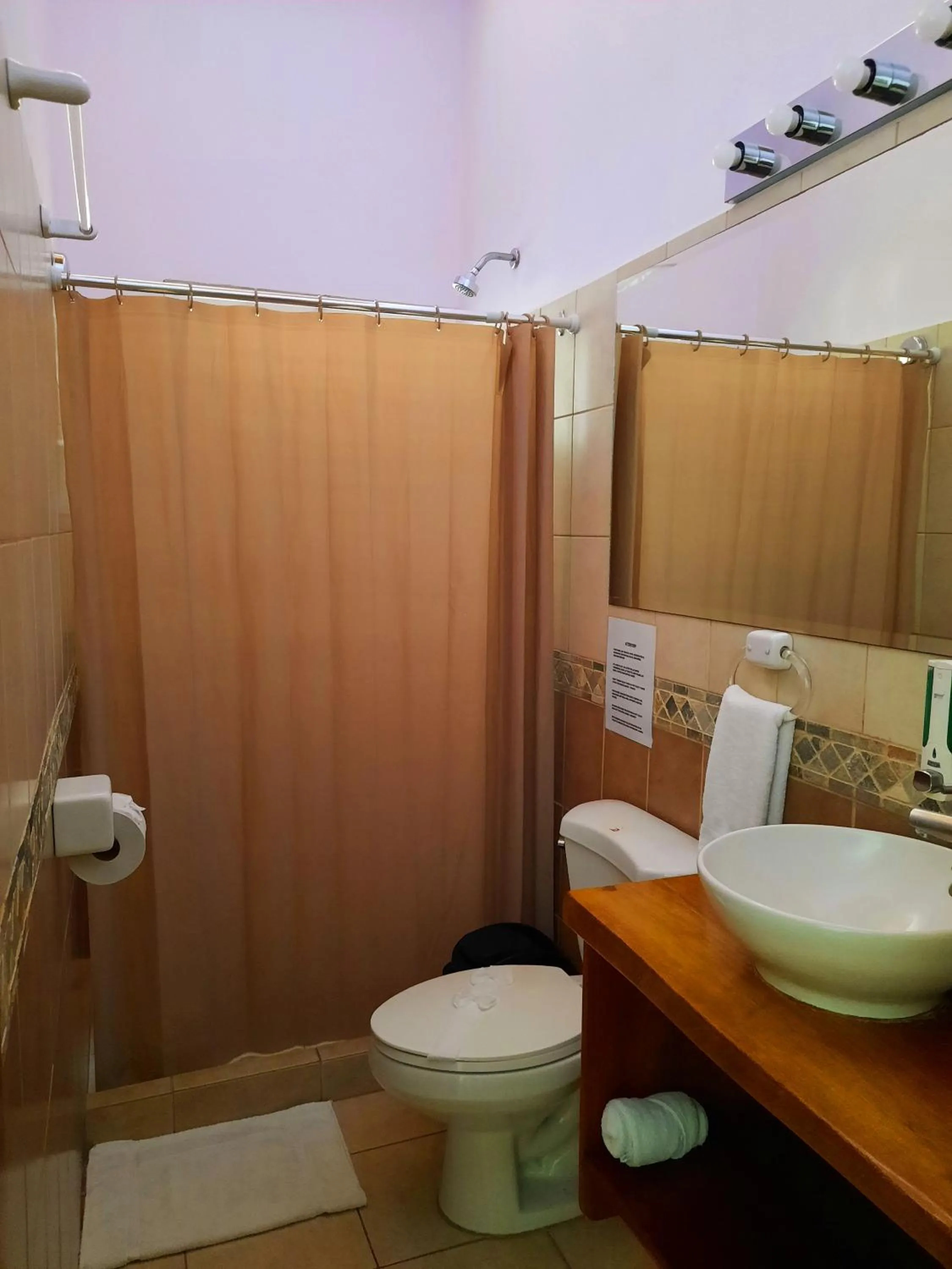 Bathroom in BellaVista Suites By Villas Verdes - Samara Beach