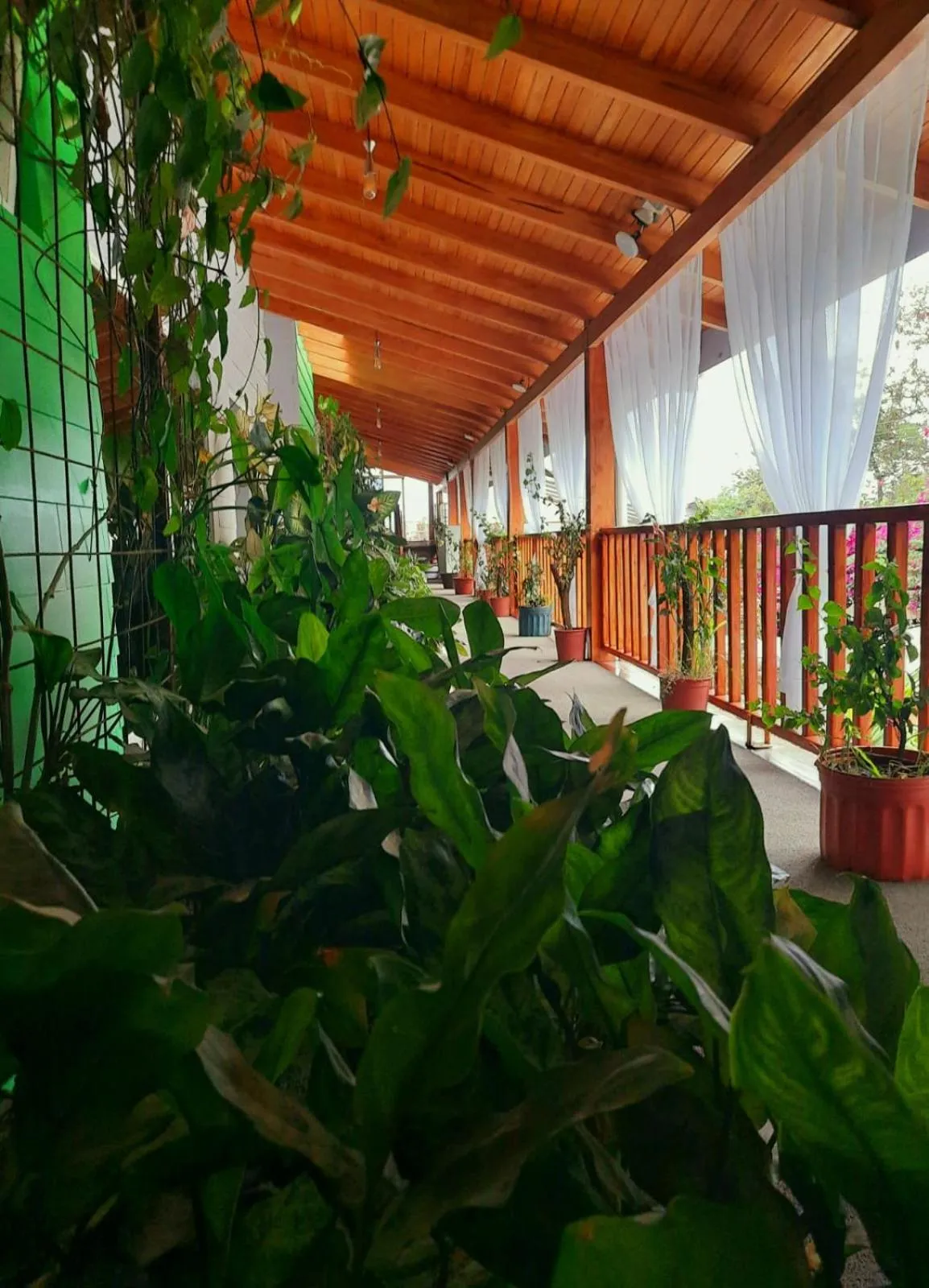 Garden in BellaVista Suites By Villas Verdes - Samara Beach