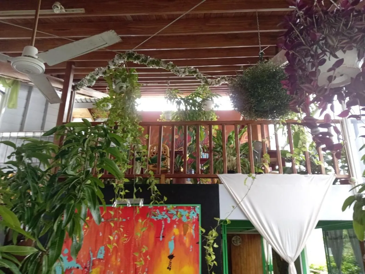 Balcony/Terrace in BellaVista Suites By Villas Verdes - Samara Beach