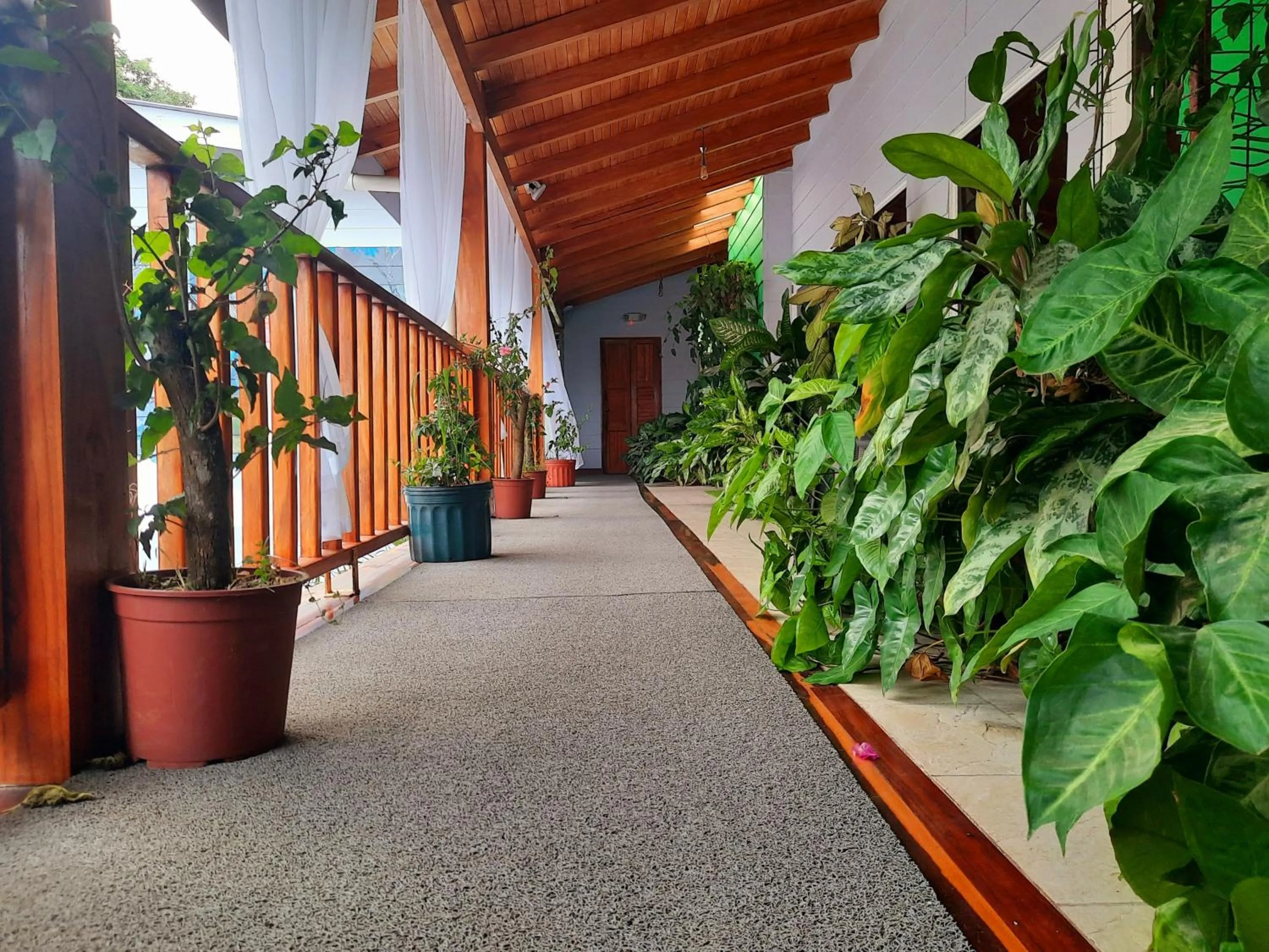 Property building in BellaVista Suites By Villas Verdes - Samara Beach