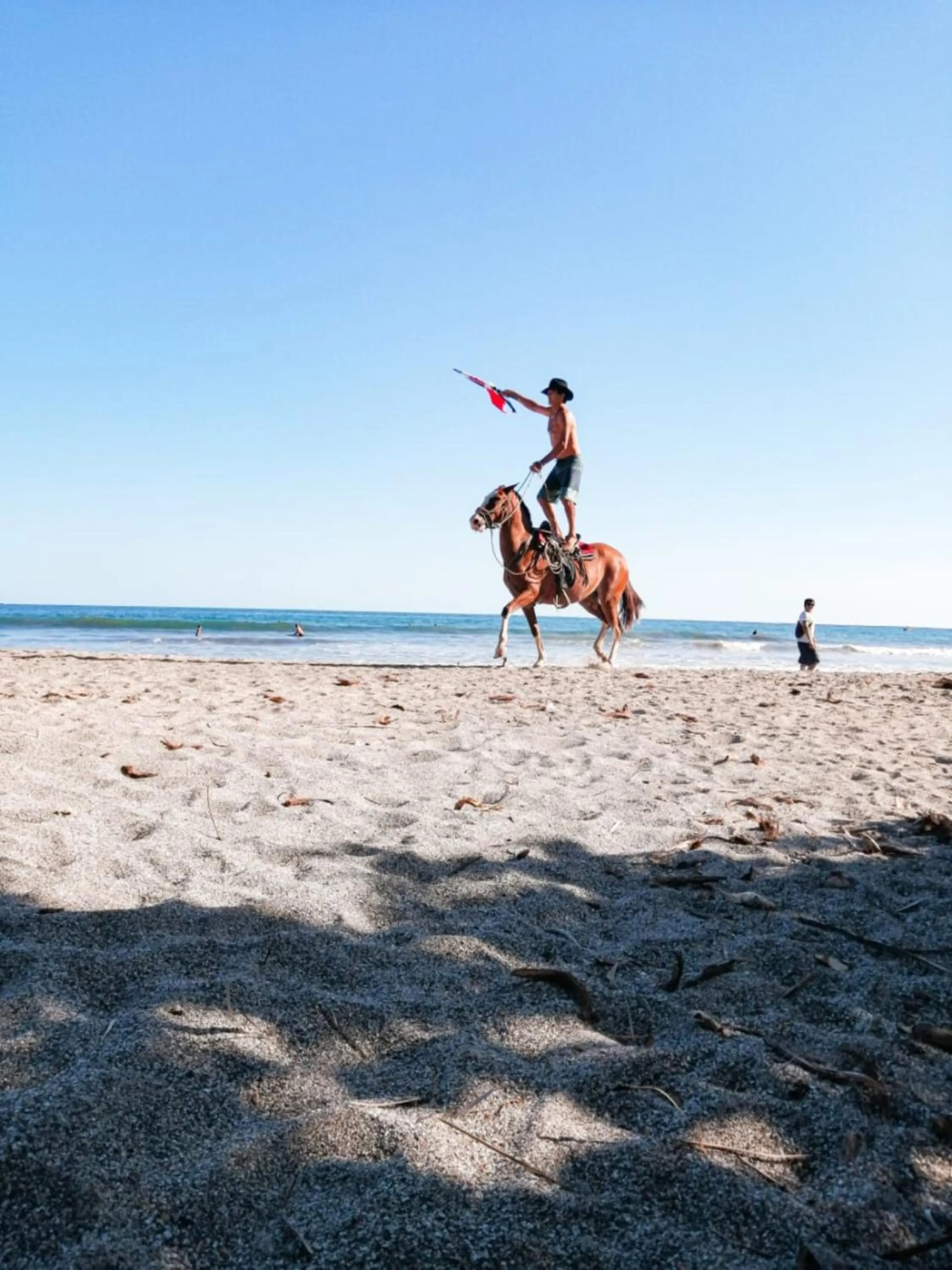 Beach in BellaVista Suites By Villas Verdes - Samara Beach