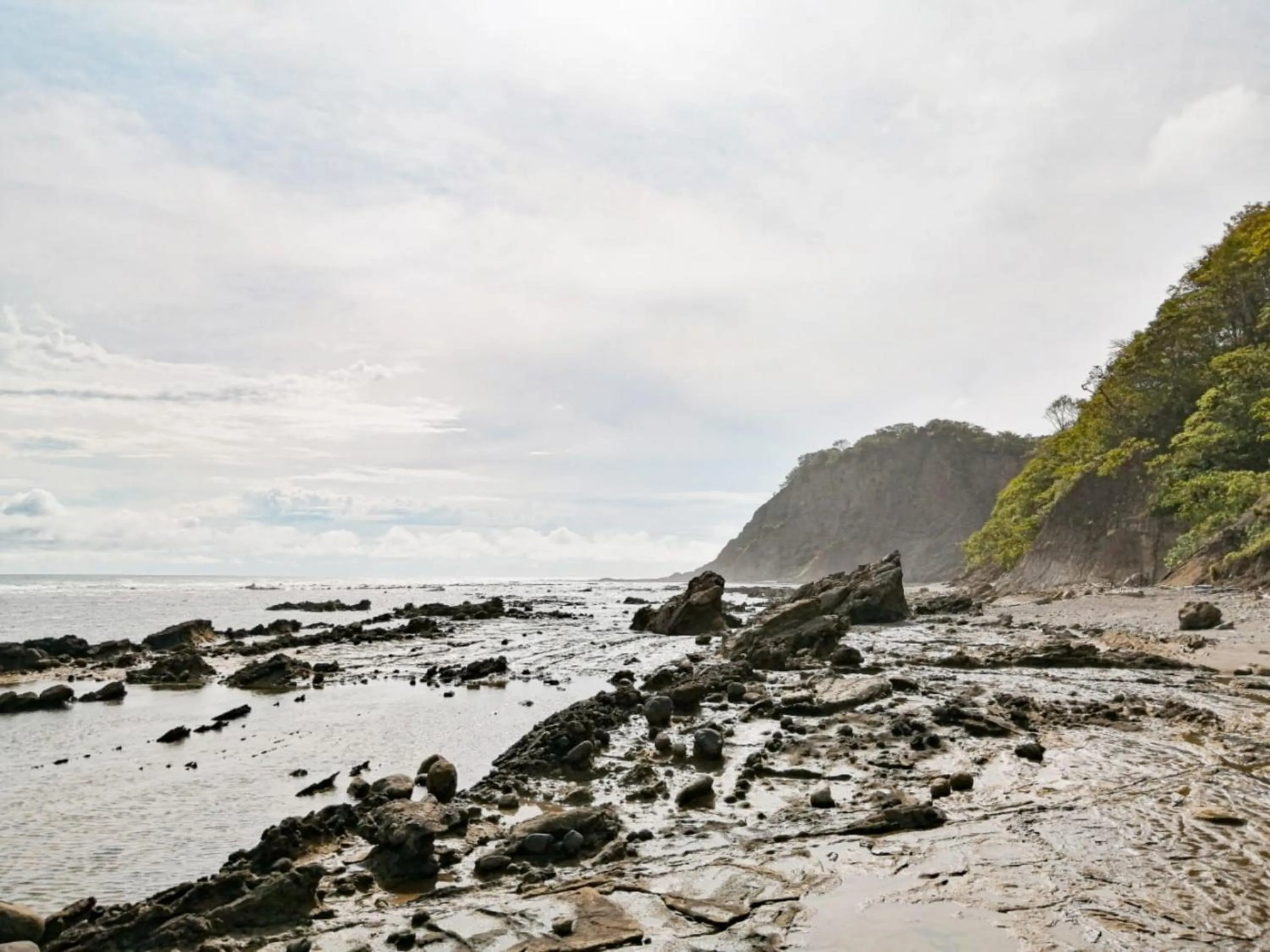 Beach in BellaVista Suites By Villas Verdes - Samara Beach