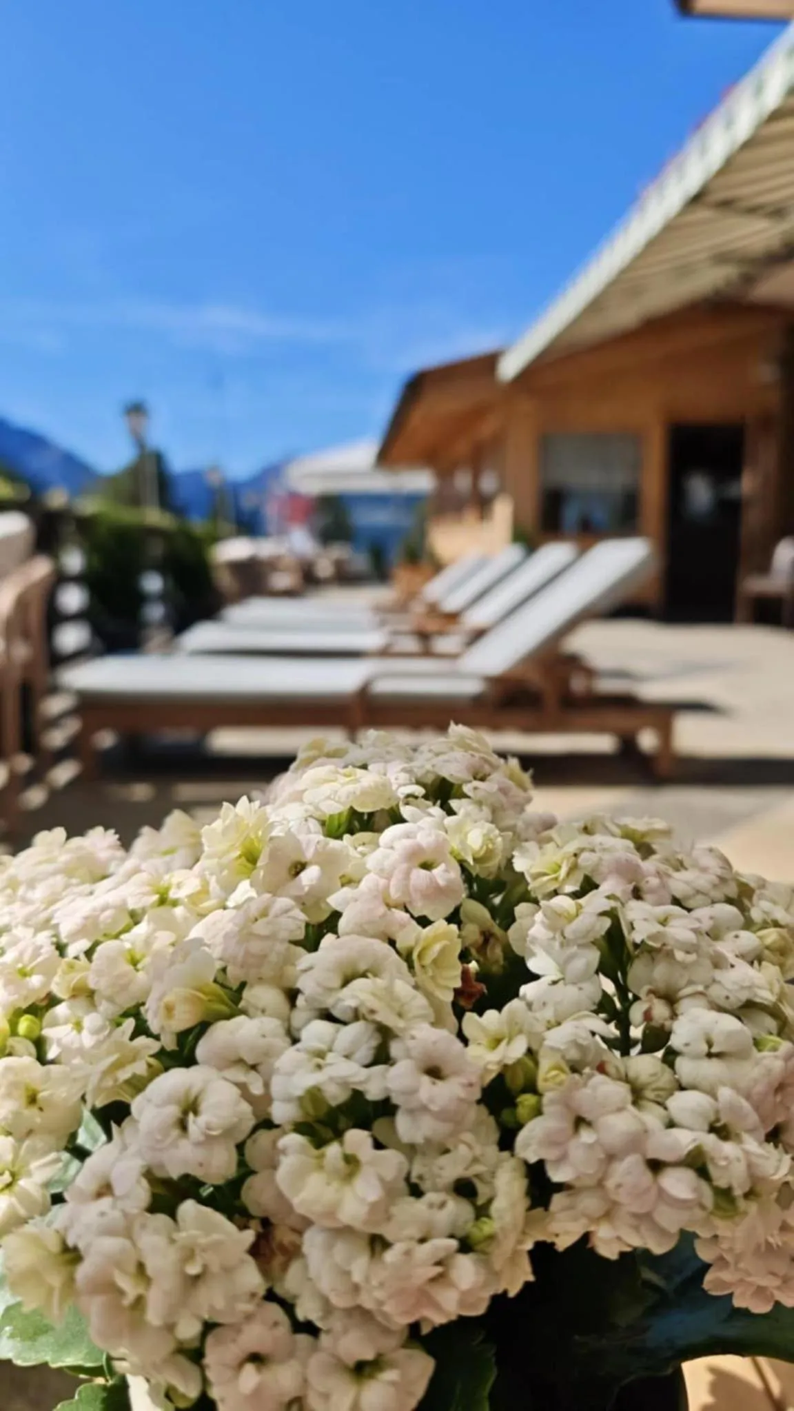 Restaurant/places to eat in Alpenhotel Edelweiss