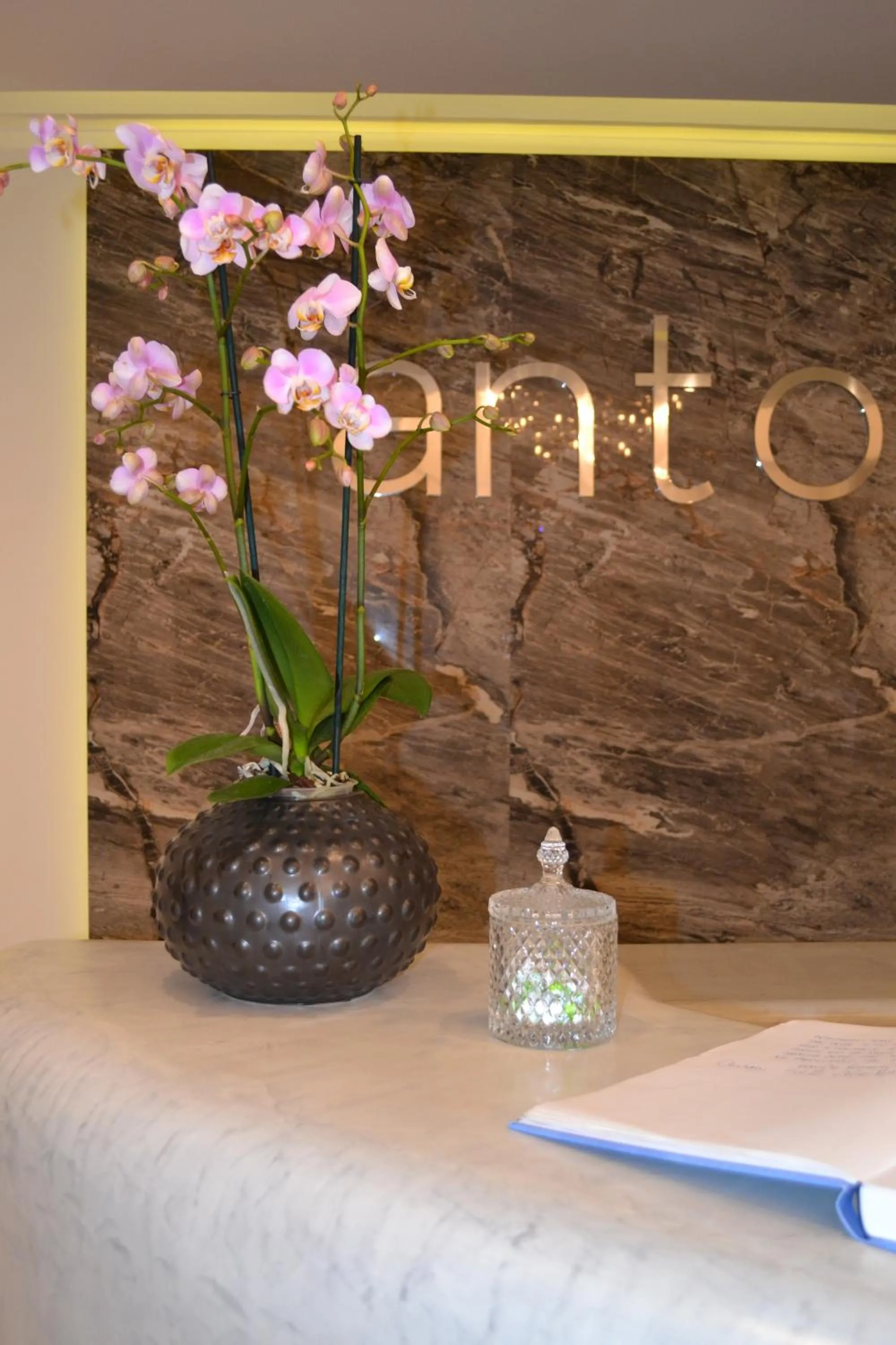 Lobby or reception in Antoperla Luxury Hotel & Spa