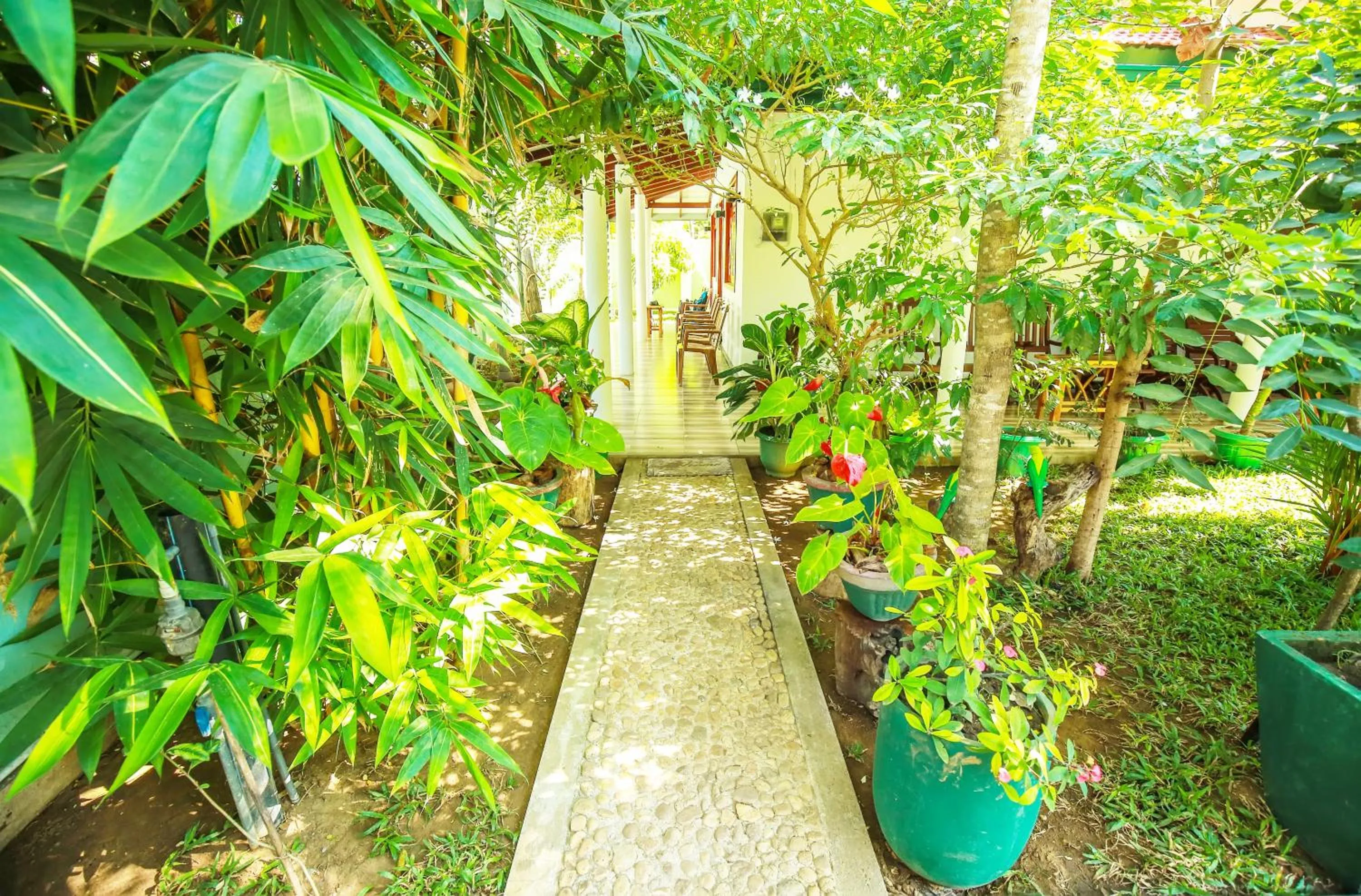 Garden in Nehansa Resort and safari