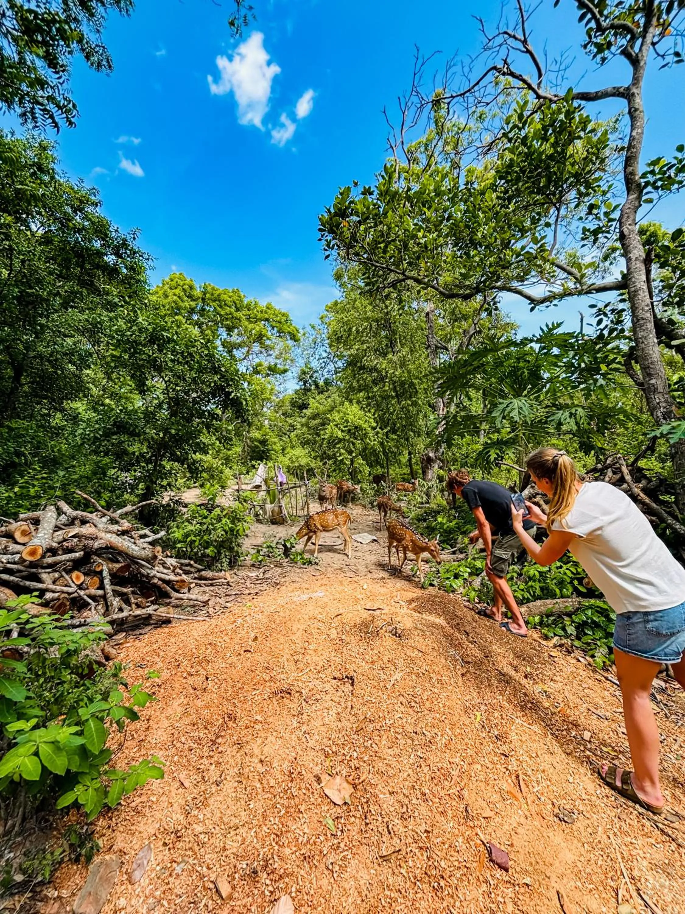 Nearby landmark in Nehansa Resort and safari