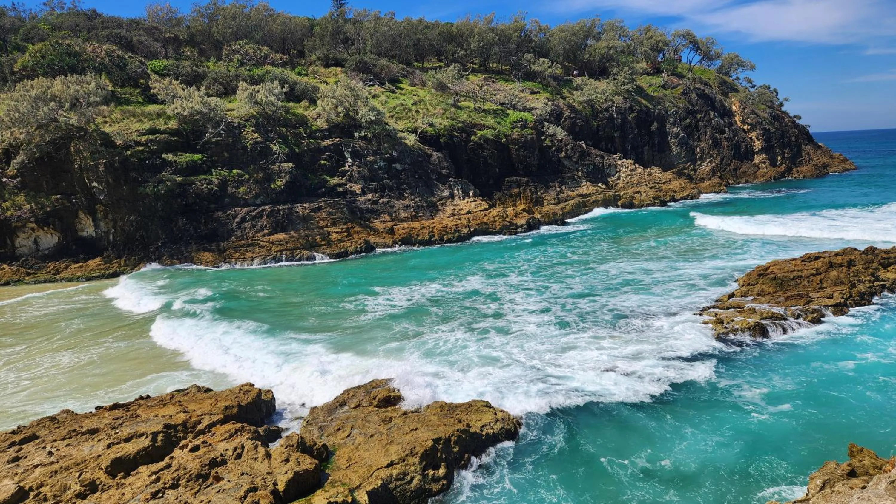 Whalewatch Ocean Beach Resort