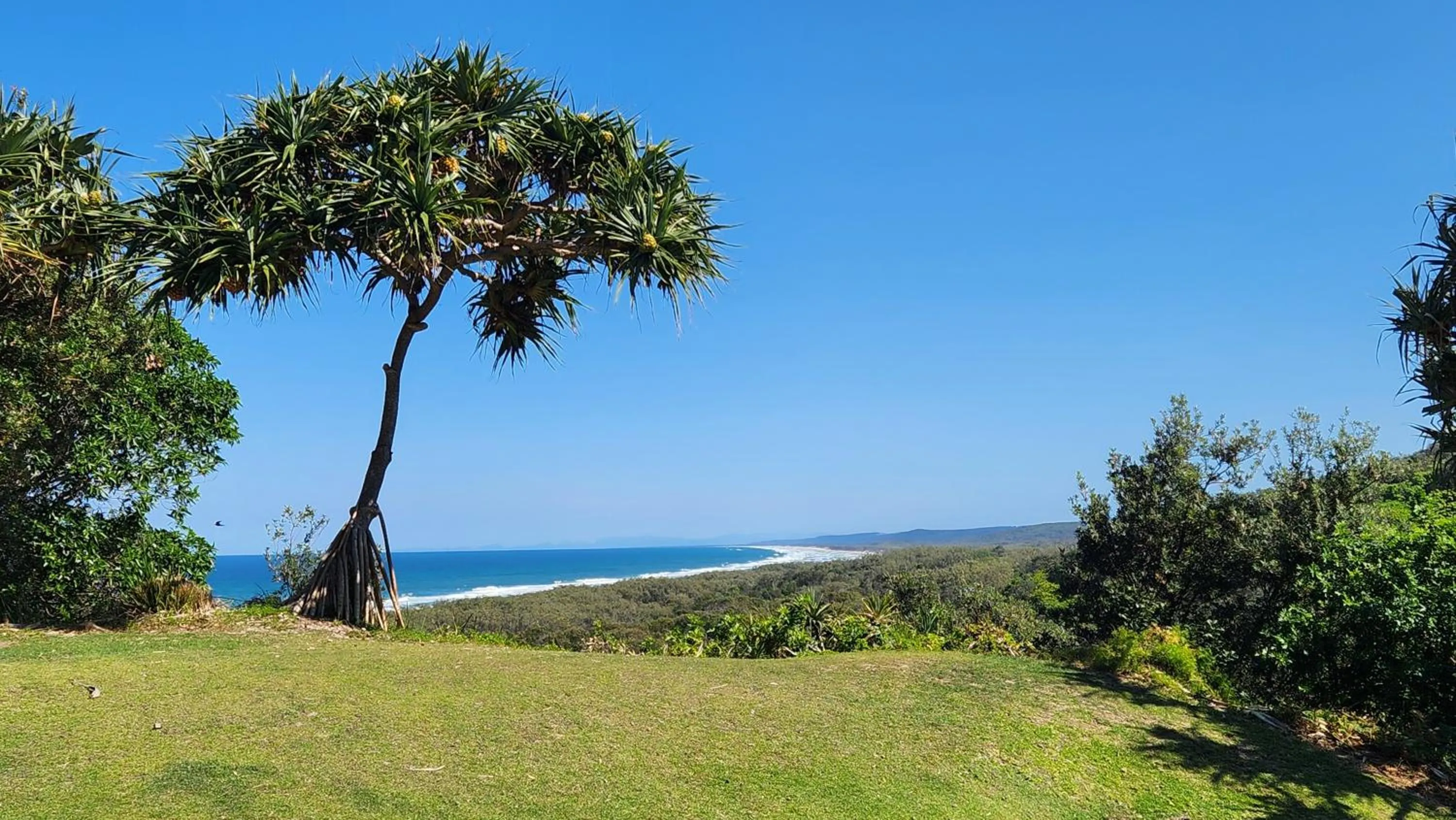 Whalewatch Ocean Beach Resort