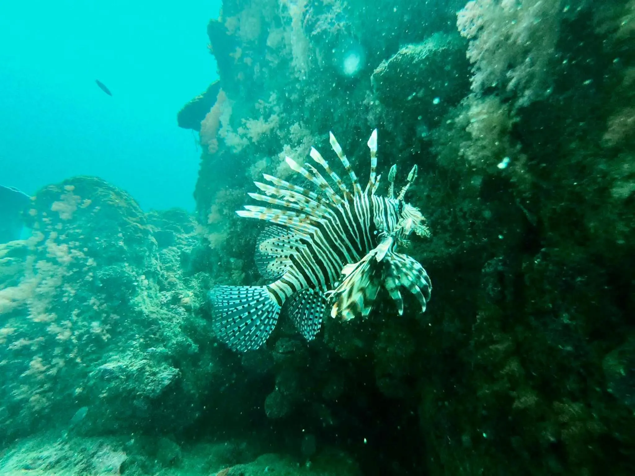 Mook Montra Resort Sea Front